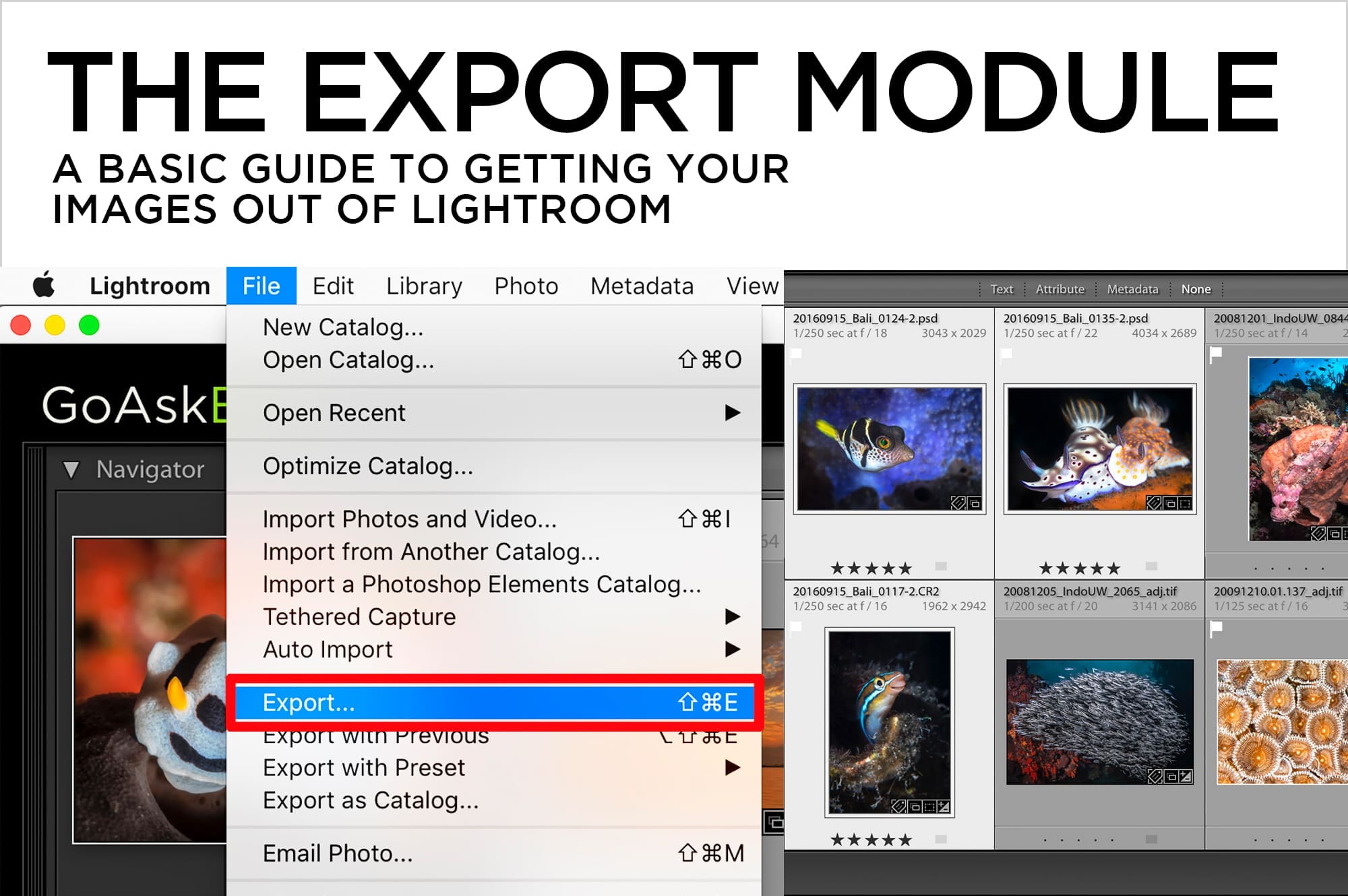 The Export Module – A Basic Guide to Getting Your Images Out of Lightroom
