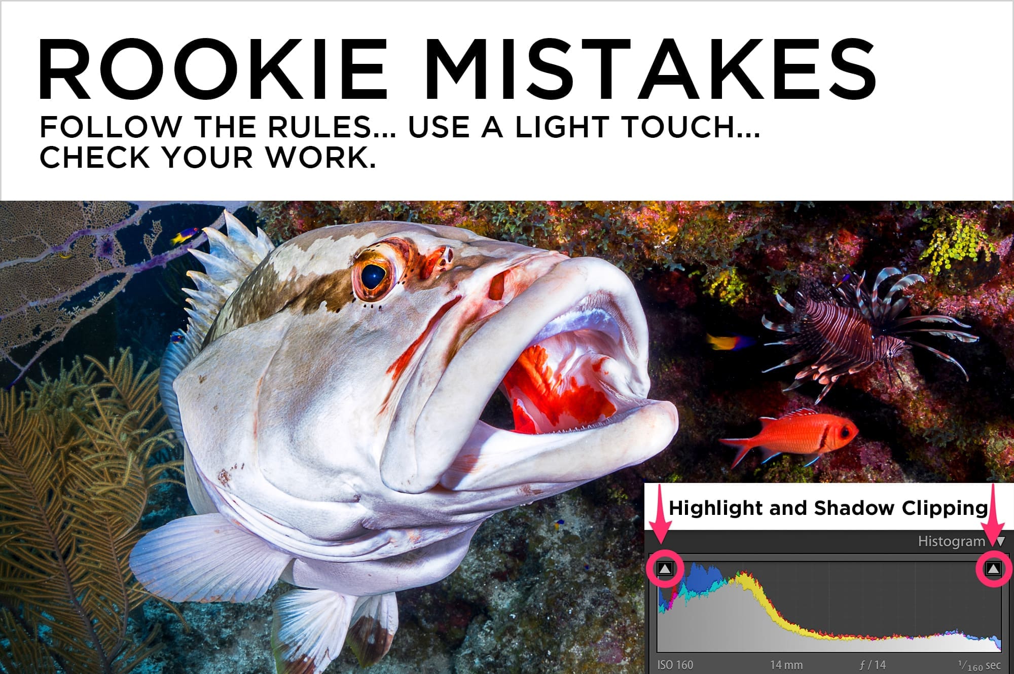 Avoiding Rookie Mistakes