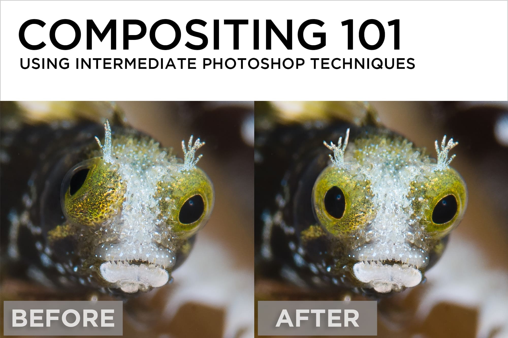 Compositing 101