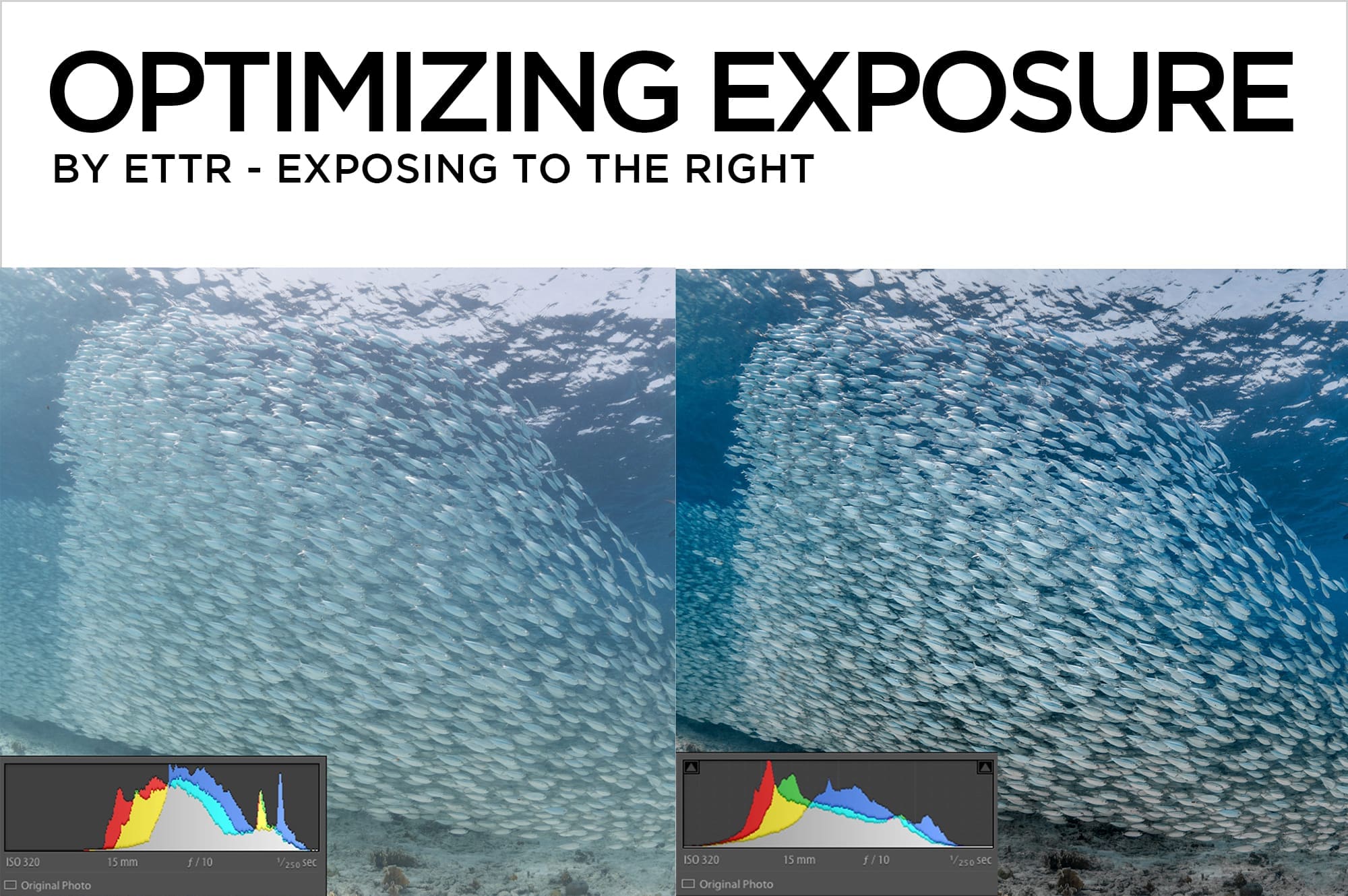 Optimizing Exposure by ETTR – Exposing to the Right