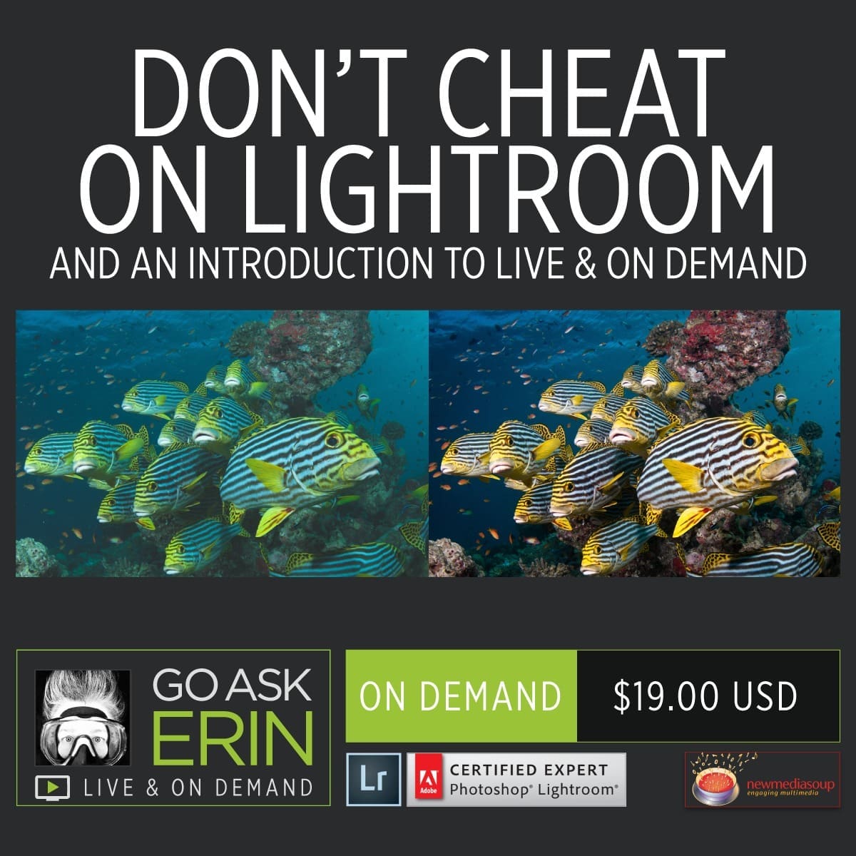 Don't Cheat on Lightroom