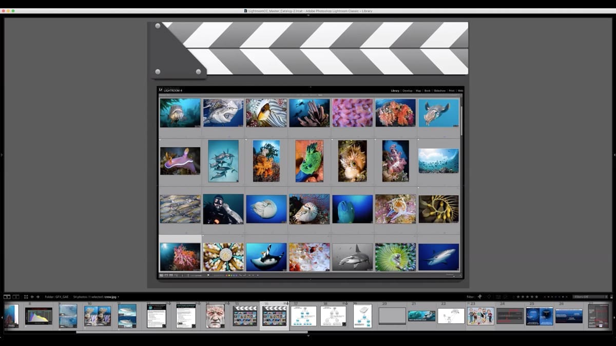 Don't Cheat on Lightroom - Image 5