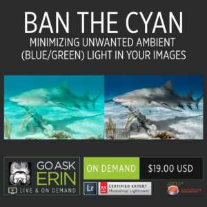 Ban the Cyan-Minimizing Unwanted Ambient Light in Your Images