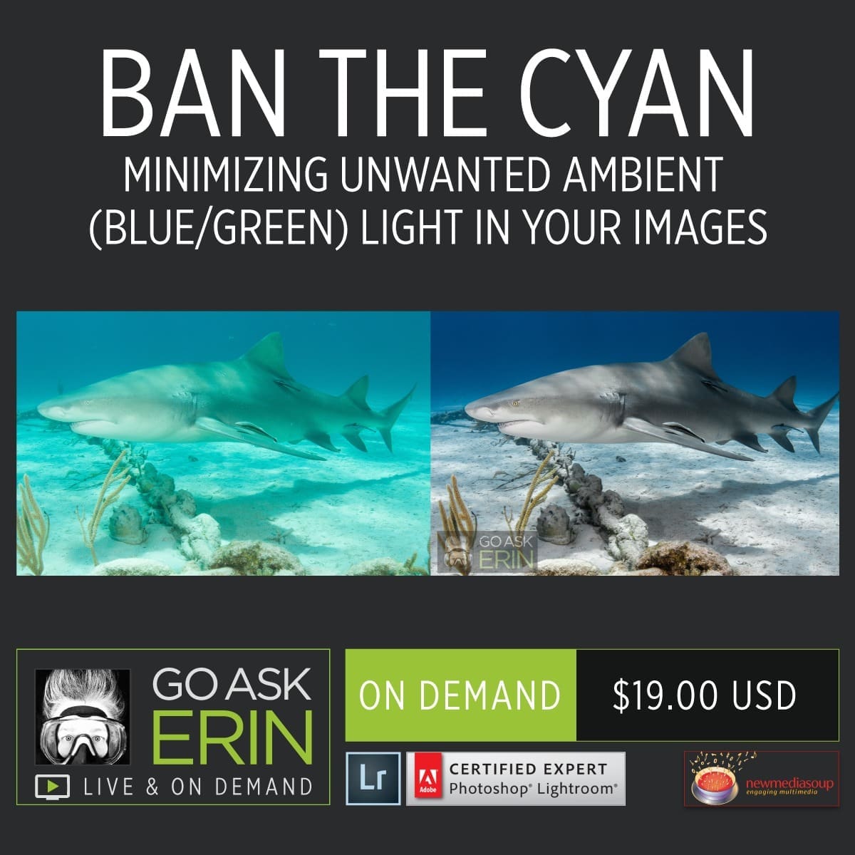 Ban the Cyan-Minimizing Unwanted Ambient Light in Your Images