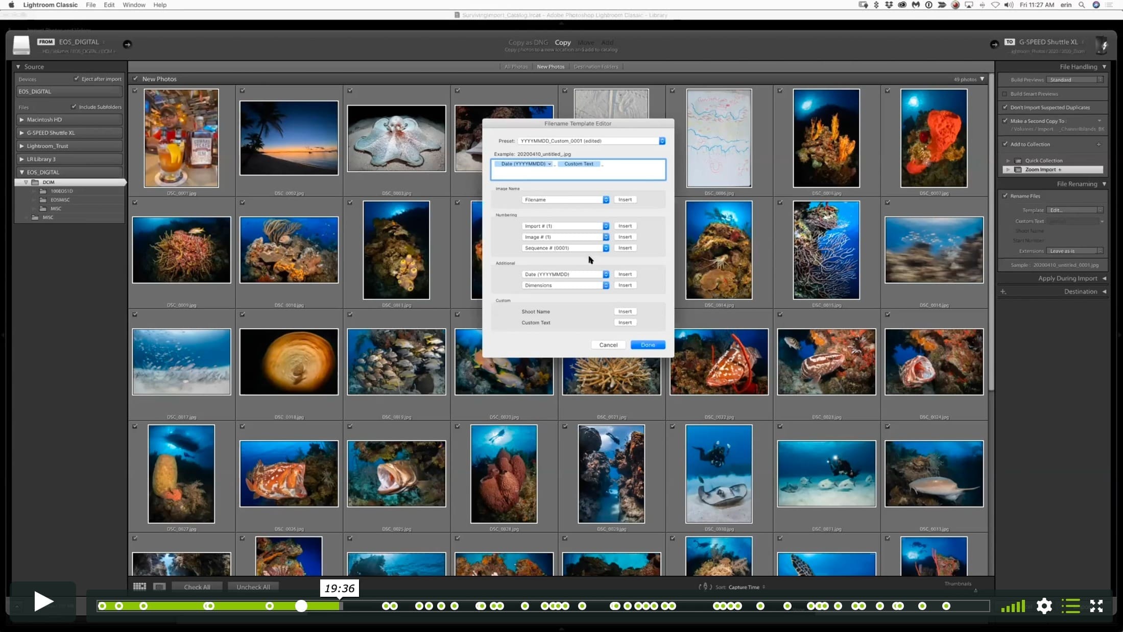 Surviving the Import Module - Image 4