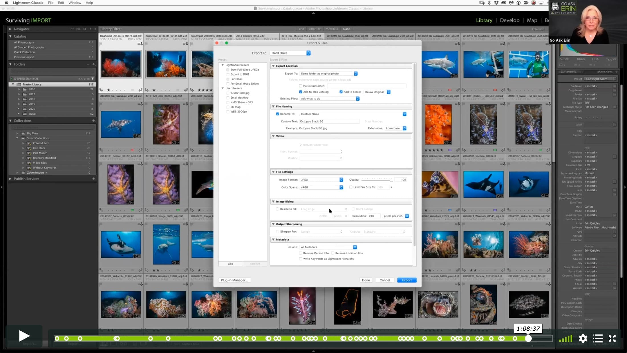 Surviving the Import Module - Image 3