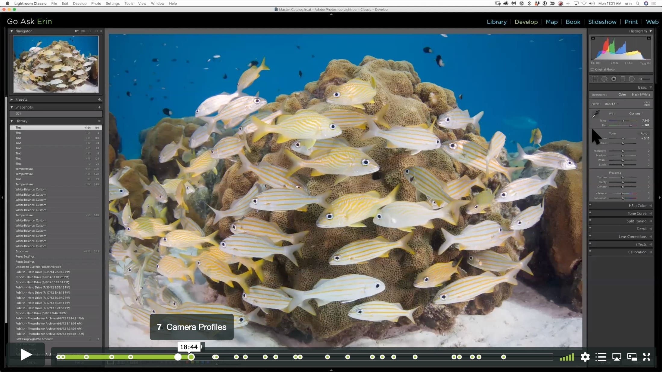 Ban the Cyan-Minimizing Unwanted Ambient Light in Your Images - Image 2