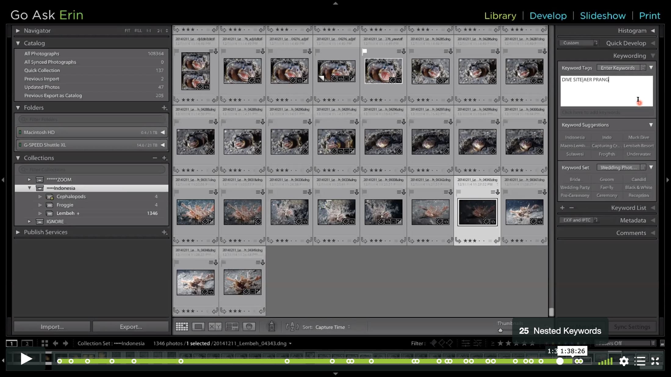 The Keys to Your Catalog – Collections, Keywording and Filters - Image 3