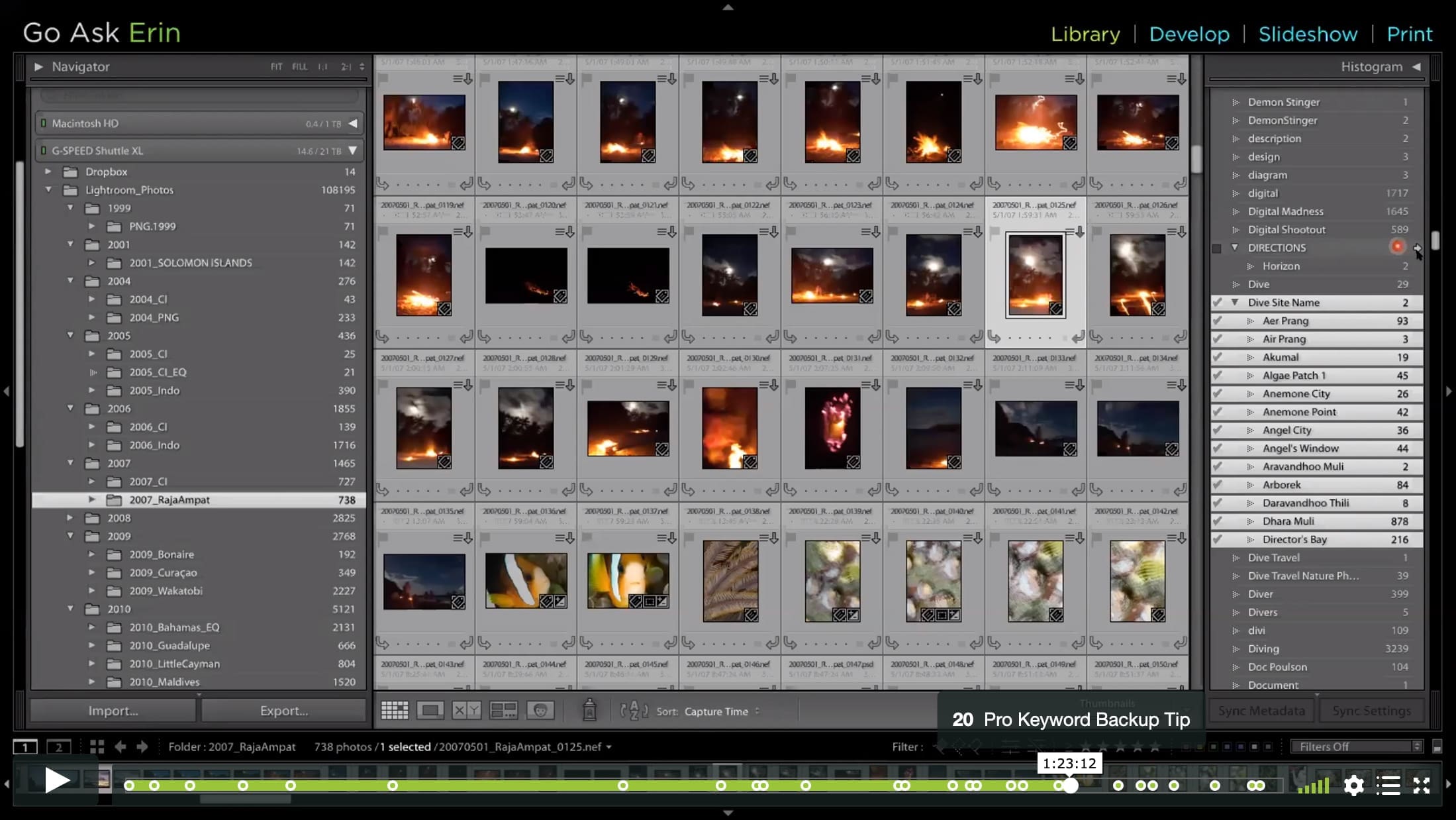 The Keys to Your Catalog – Collections, Keywording and Filters - Image 5