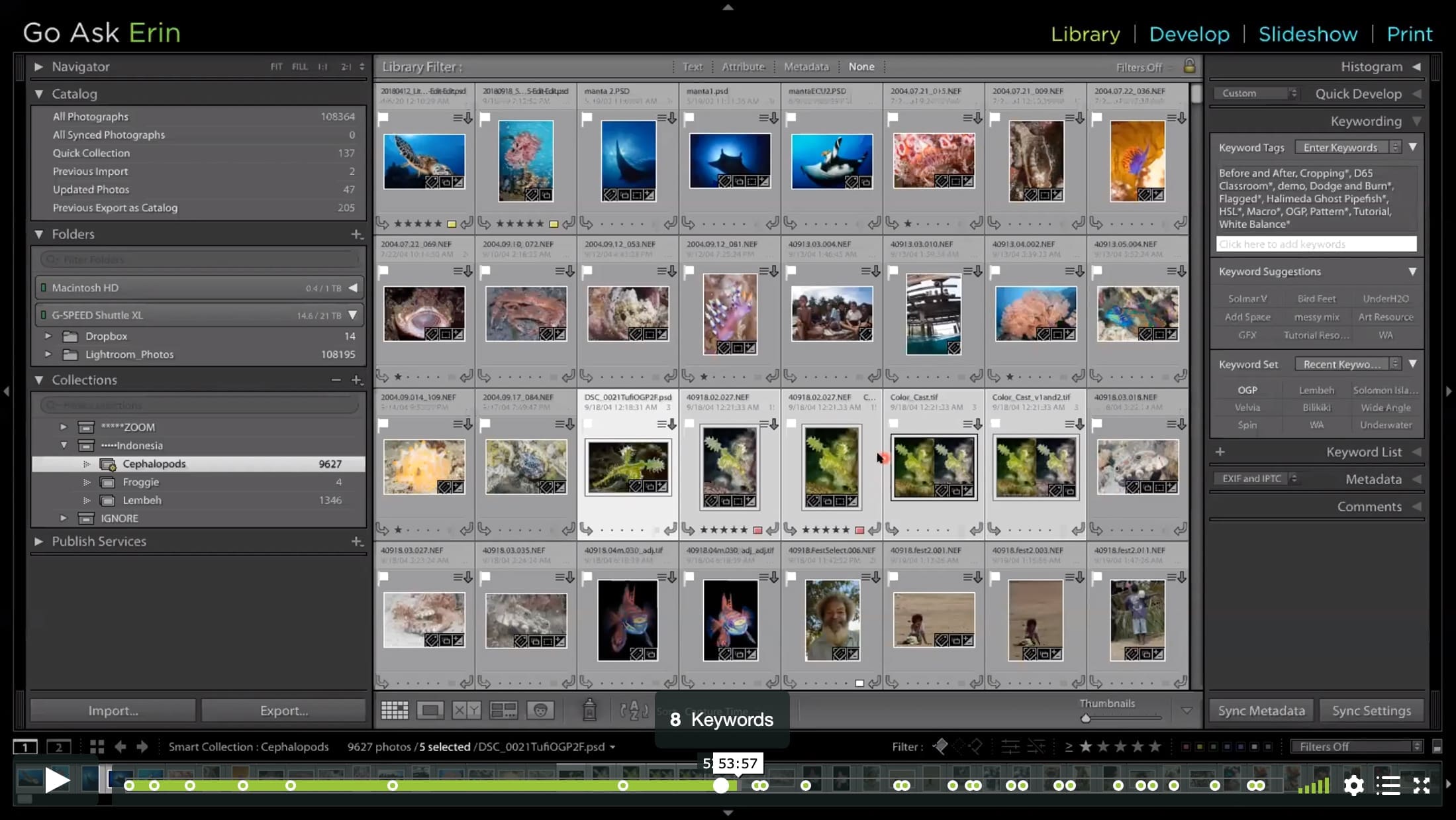 The Keys to Your Catalog – Collections, Keywording and Filters - Image 6