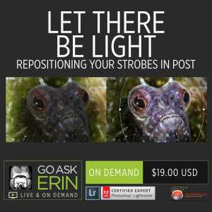 Let There Be Light - Repositioning your Strobes in Post