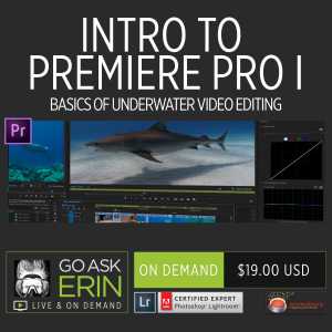 Intro to Premiere Pro I – Basics of Underwater Video Editing