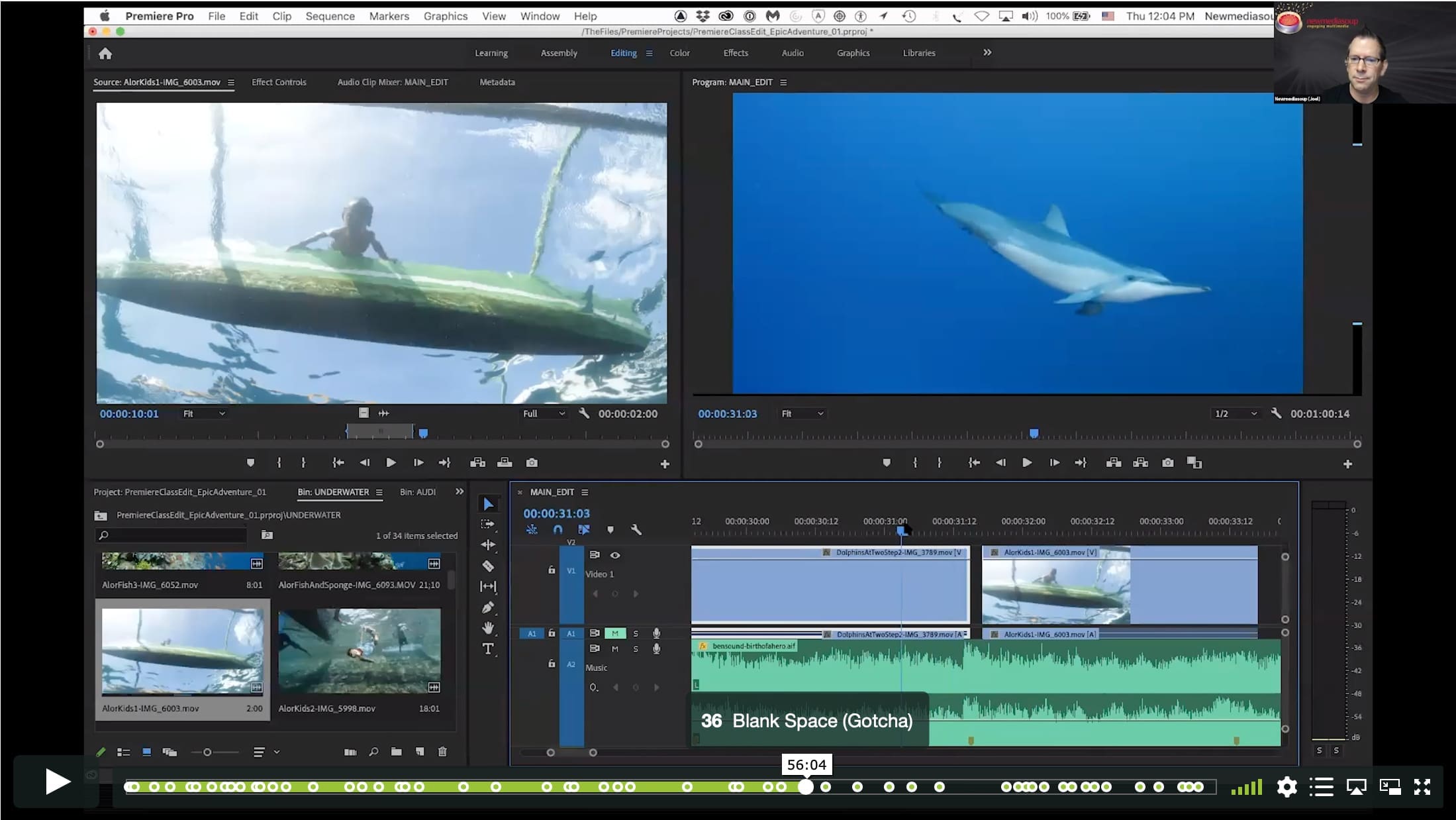 Intro to Premiere Pro I – Basics of Underwater Video Editing - Image 7