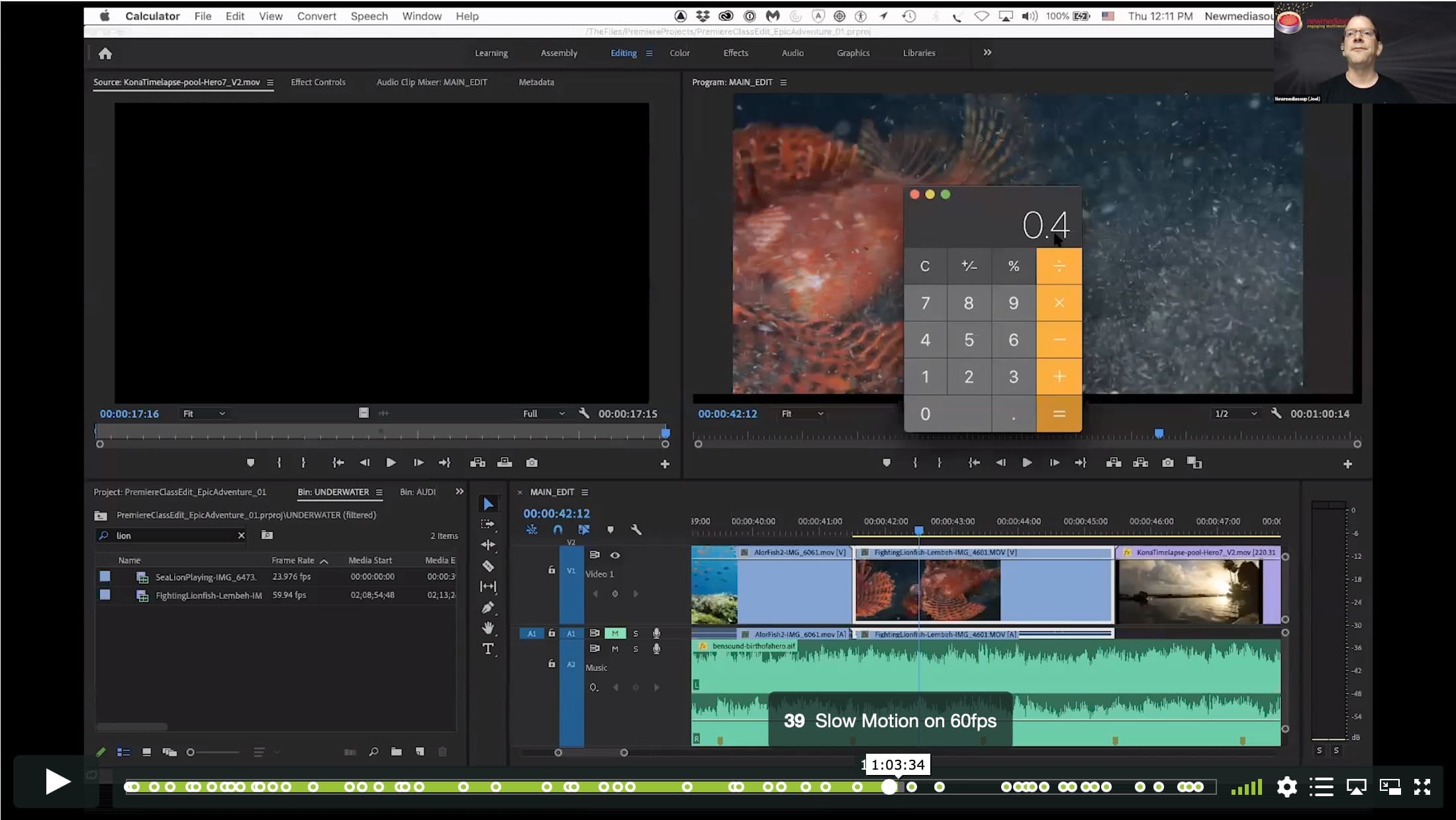 Intro to Premiere Pro I – Basics of Underwater Video Editing - Image 8