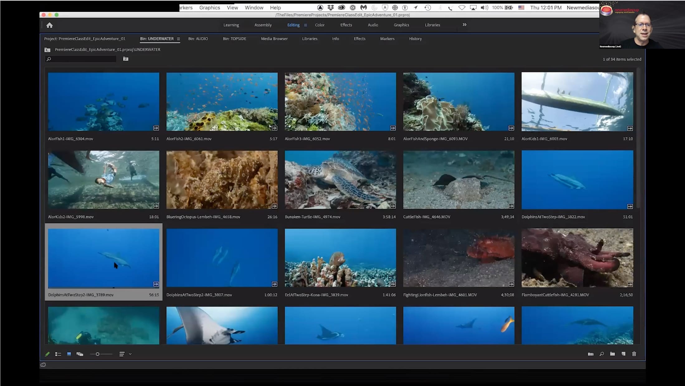 Intro to Premiere Pro I – Basics of Underwater Video Editing - Image 6