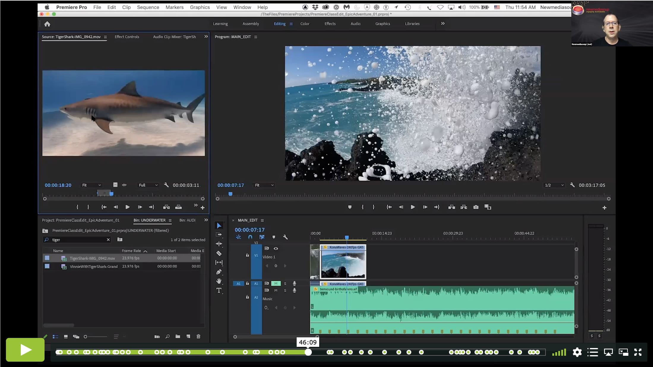 Intro to Premiere Pro I – Basics of Underwater Video Editing - Image 4