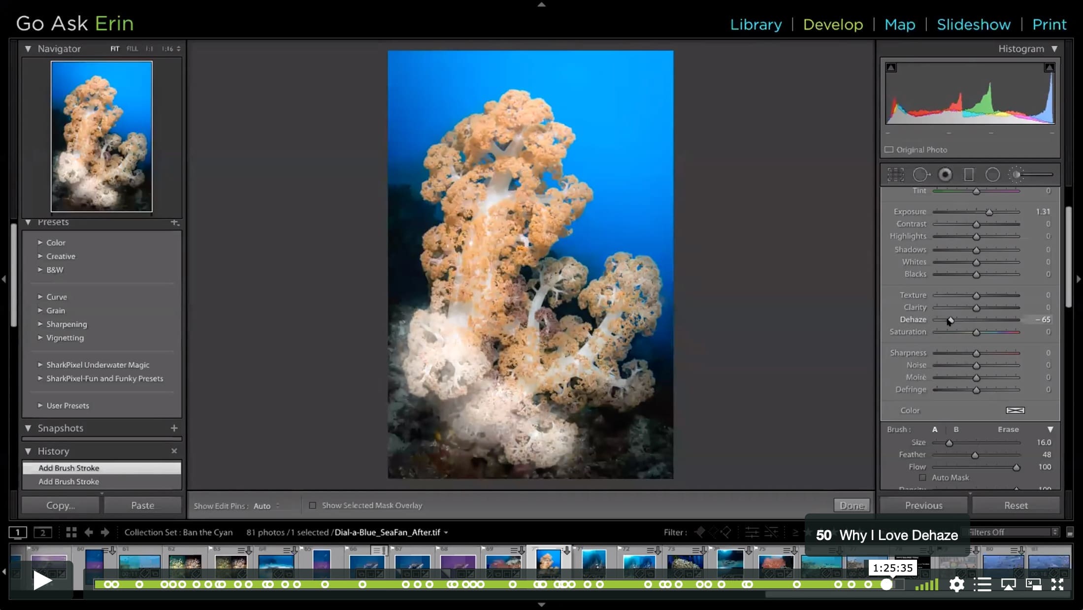Lightroom’s Secret Powers – Tips, Tricks, and Badass Buried Treasure - Image 5