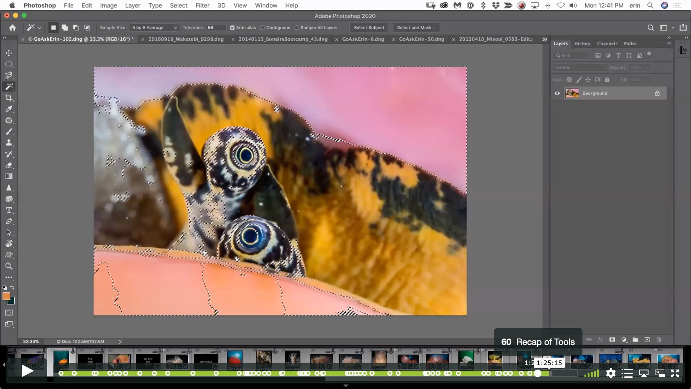 Border Patrol – Selections and Masks using Lightroom and Photoshop - Image 8