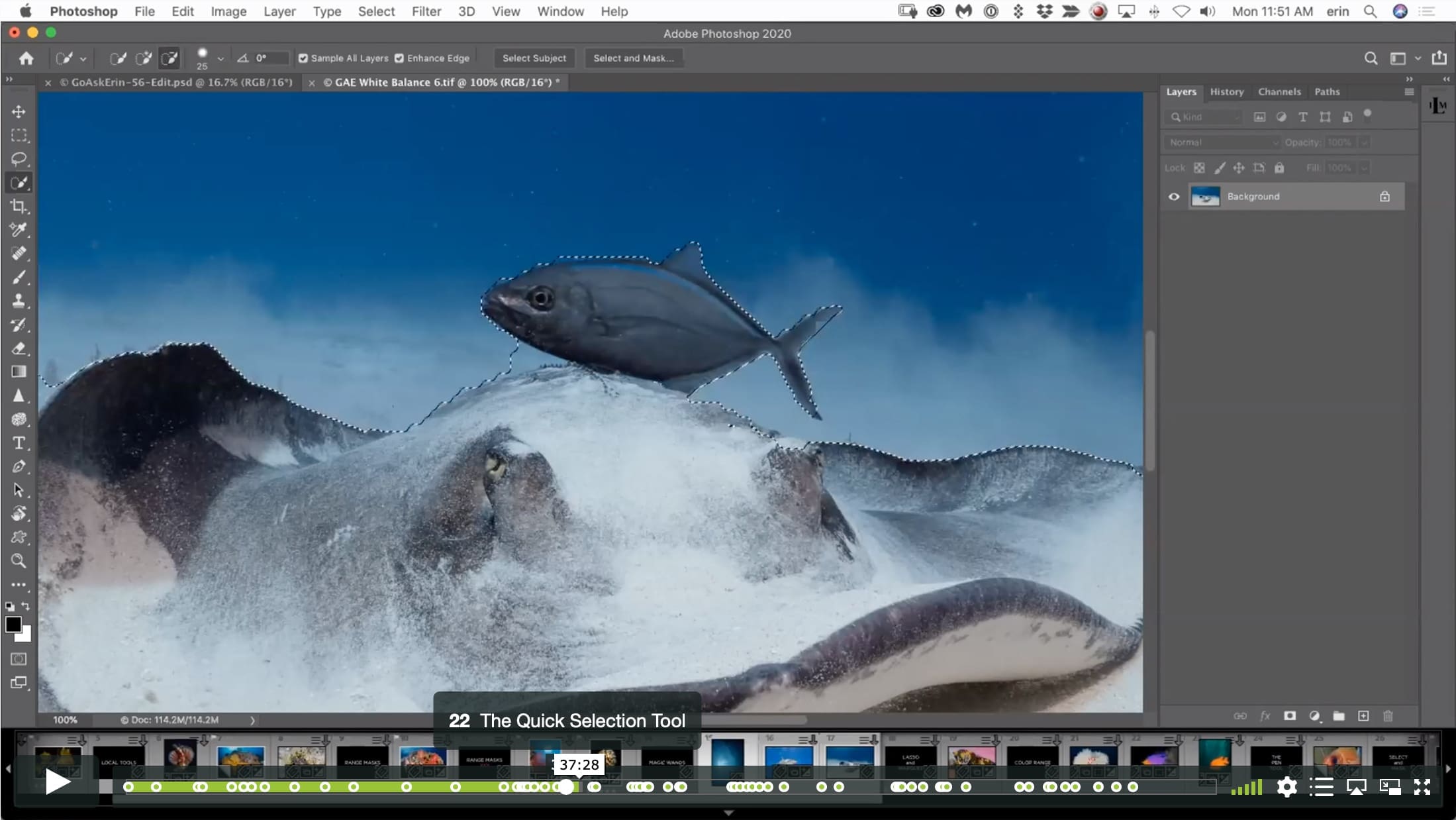 Border Patrol – Selections and Masks using Lightroom and Photoshop - Image 3