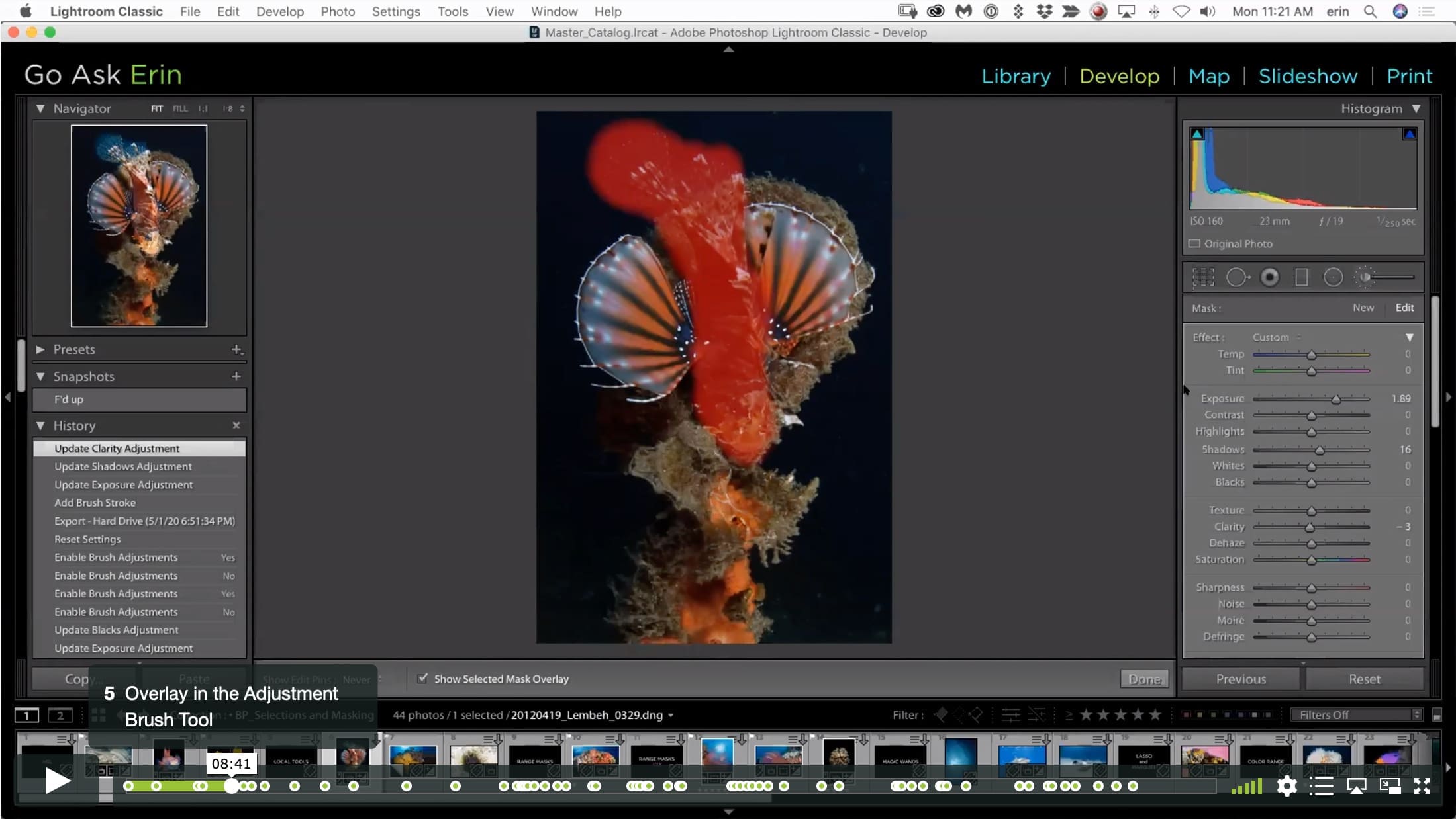 Border Patrol – Selections and Masks using Lightroom and Photoshop - Image 2