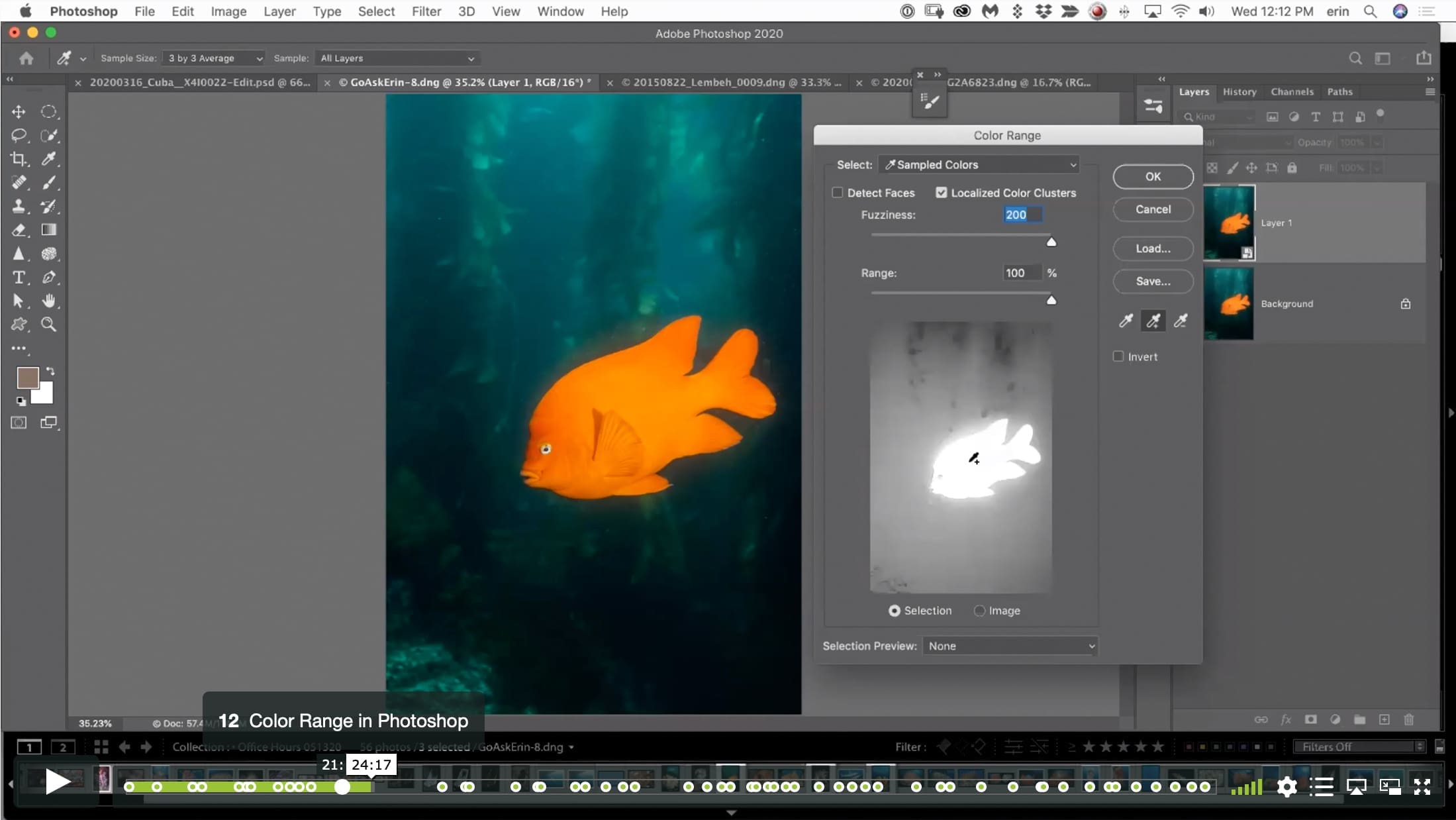 Border Patrol – Selections and Masks using Lightroom and Photoshop - Image 4