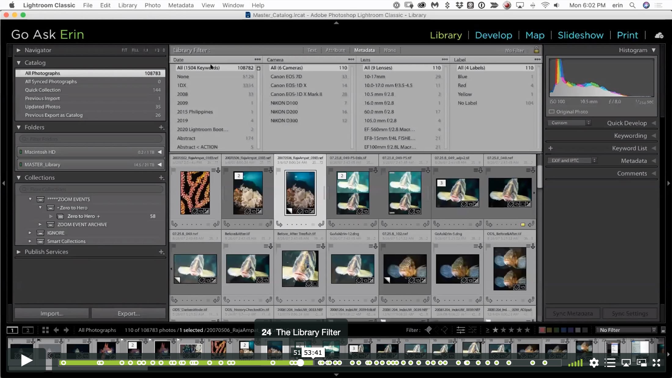 Lightroom Classic Zero to Hero I - Image 4