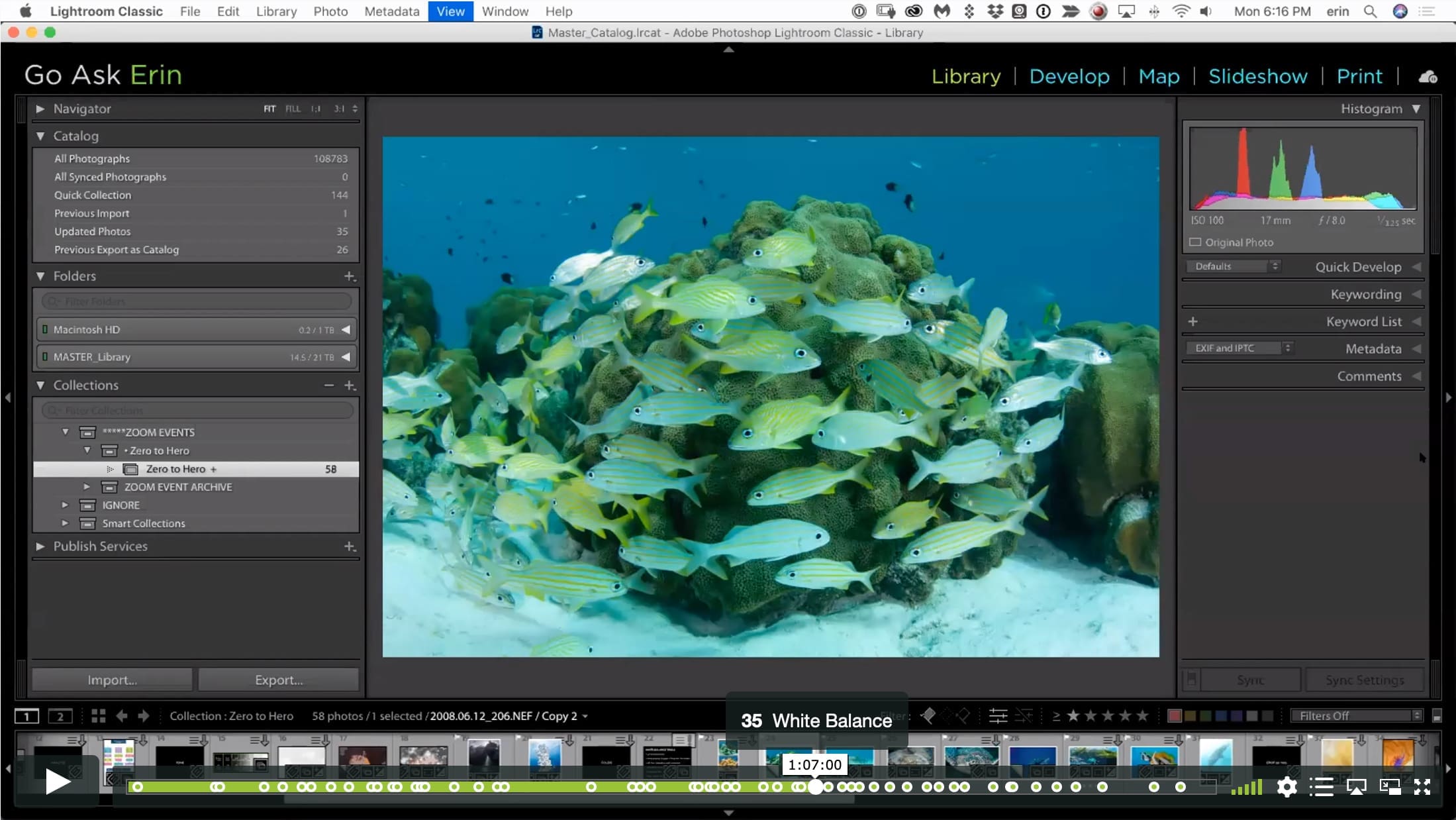 Lightroom Classic Zero to Hero I - Image 6