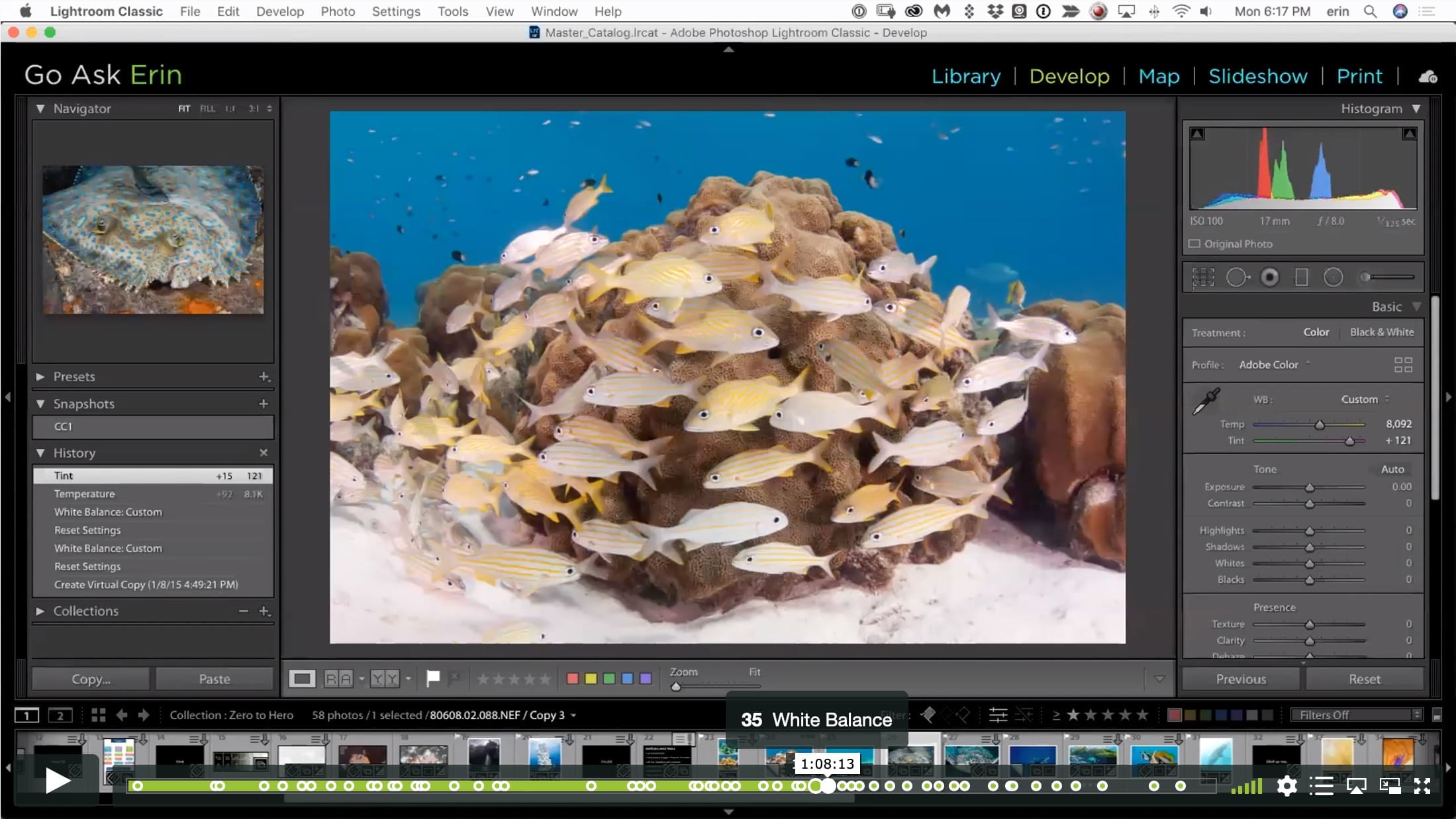 Lightroom Classic Zero to Hero I - Image 7