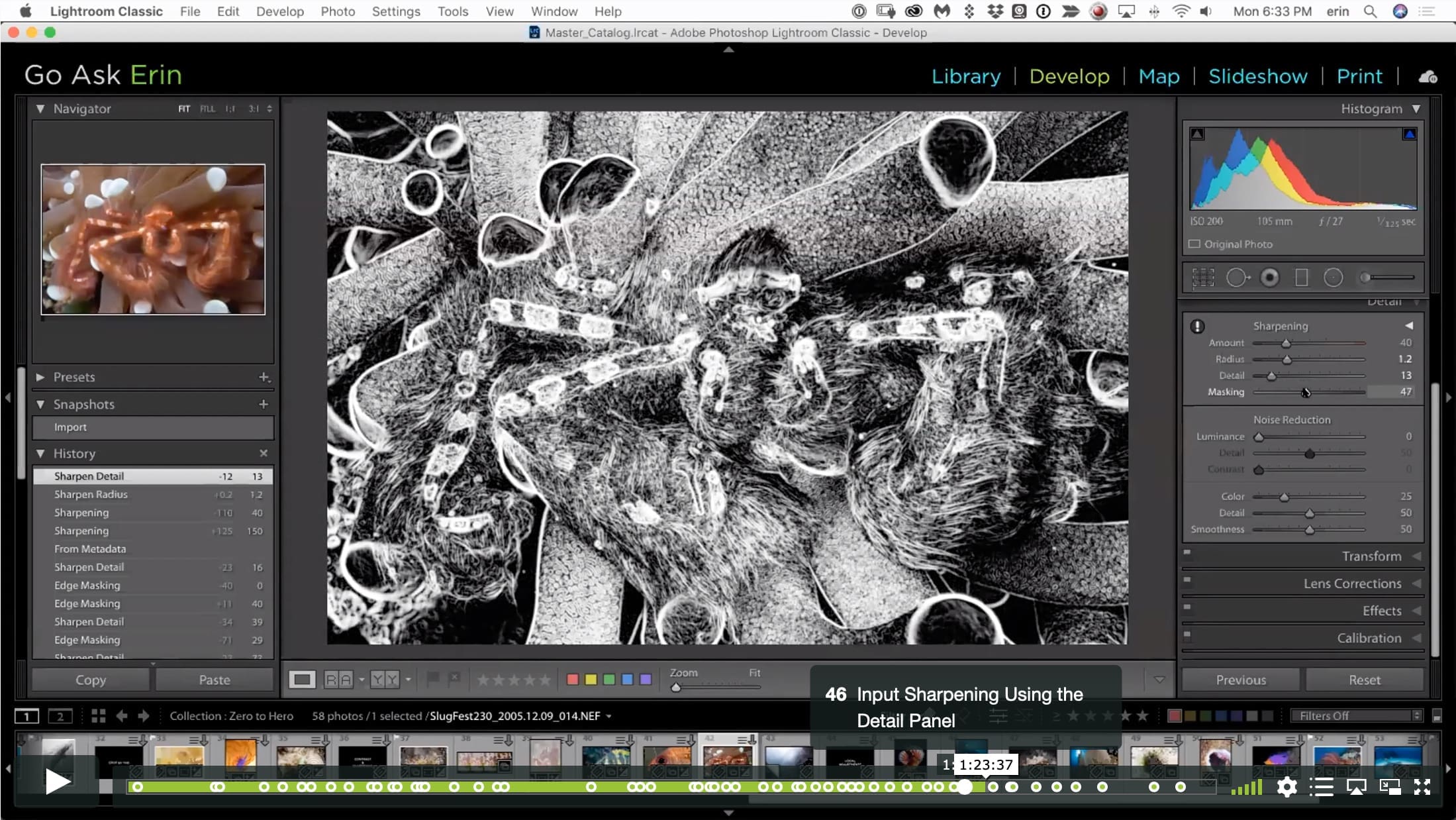 Lightroom Classic Zero to Hero I - Image 9