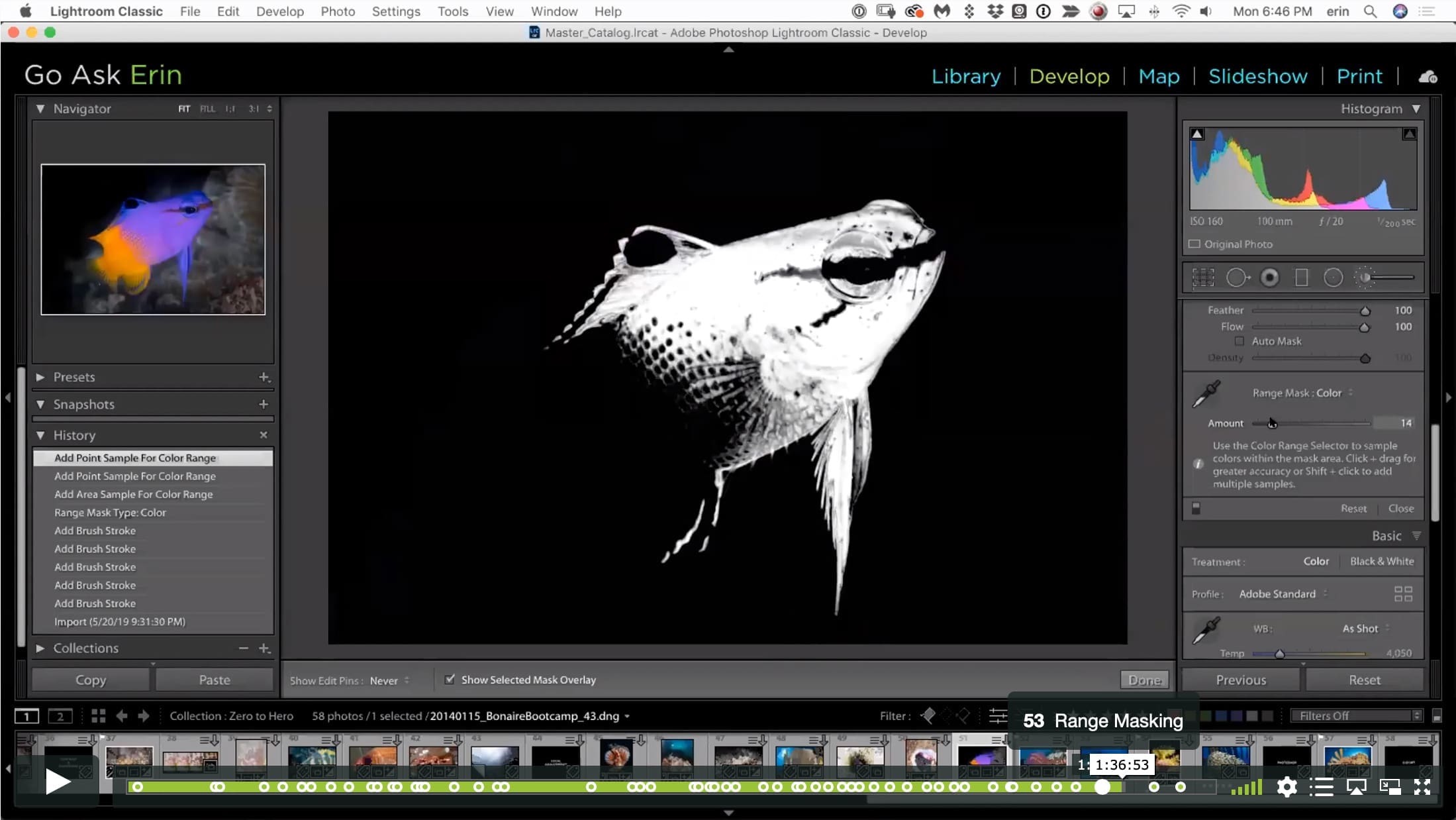 Lightroom Classic Zero to Hero I - Image 8