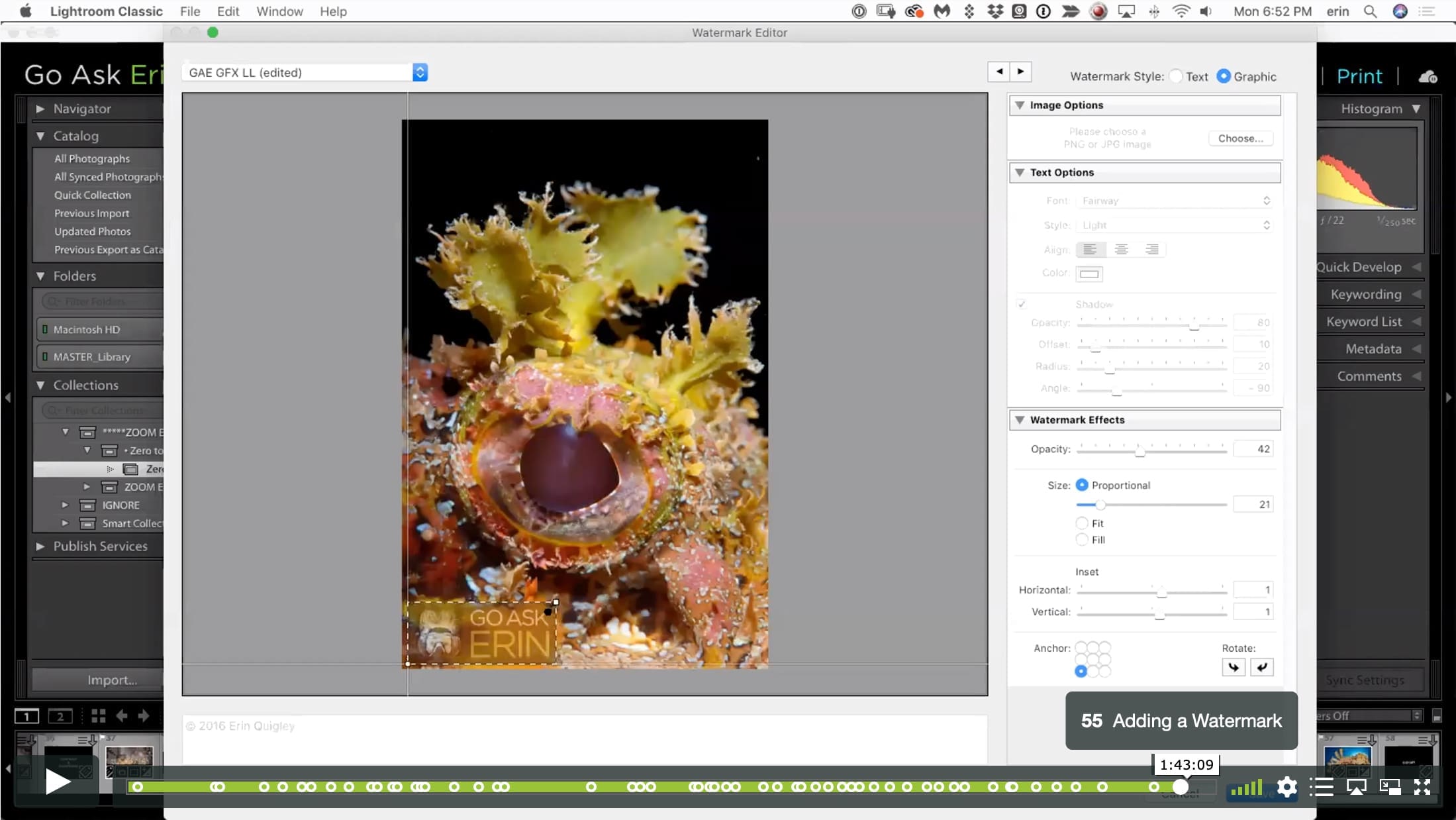 Lightroom Classic Zero to Hero I - Image 10