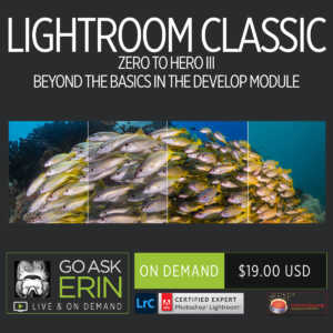Lightroom Classic Zero to Hero III