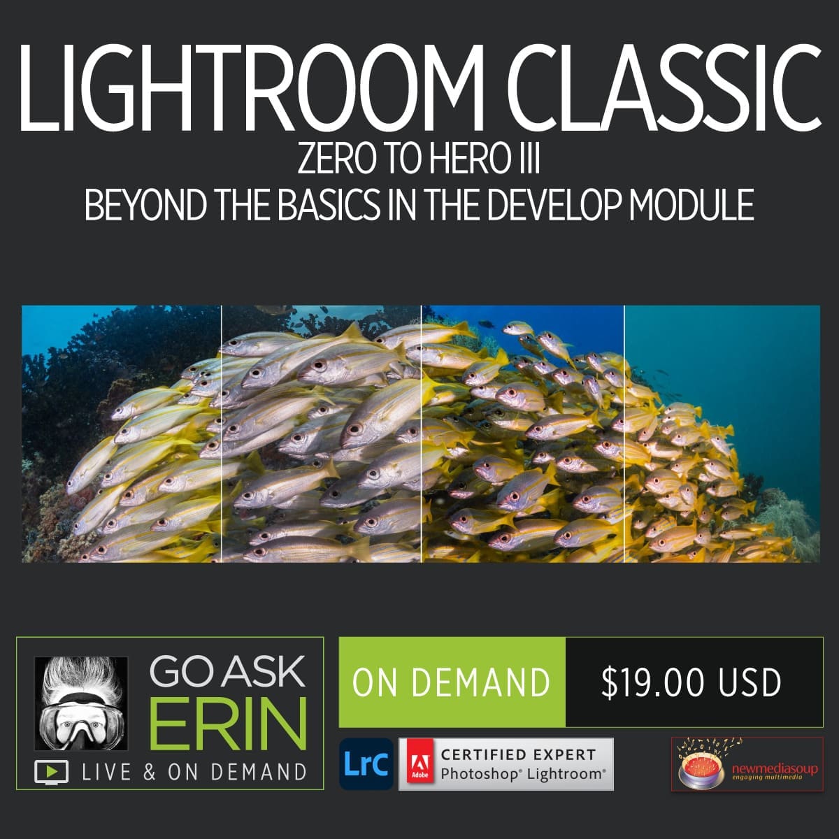 Lightroom Classic Zero to Hero III