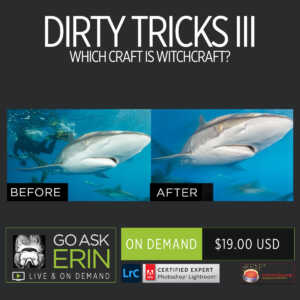 Dirty Tricks III - Which Craft is Witchcraft?