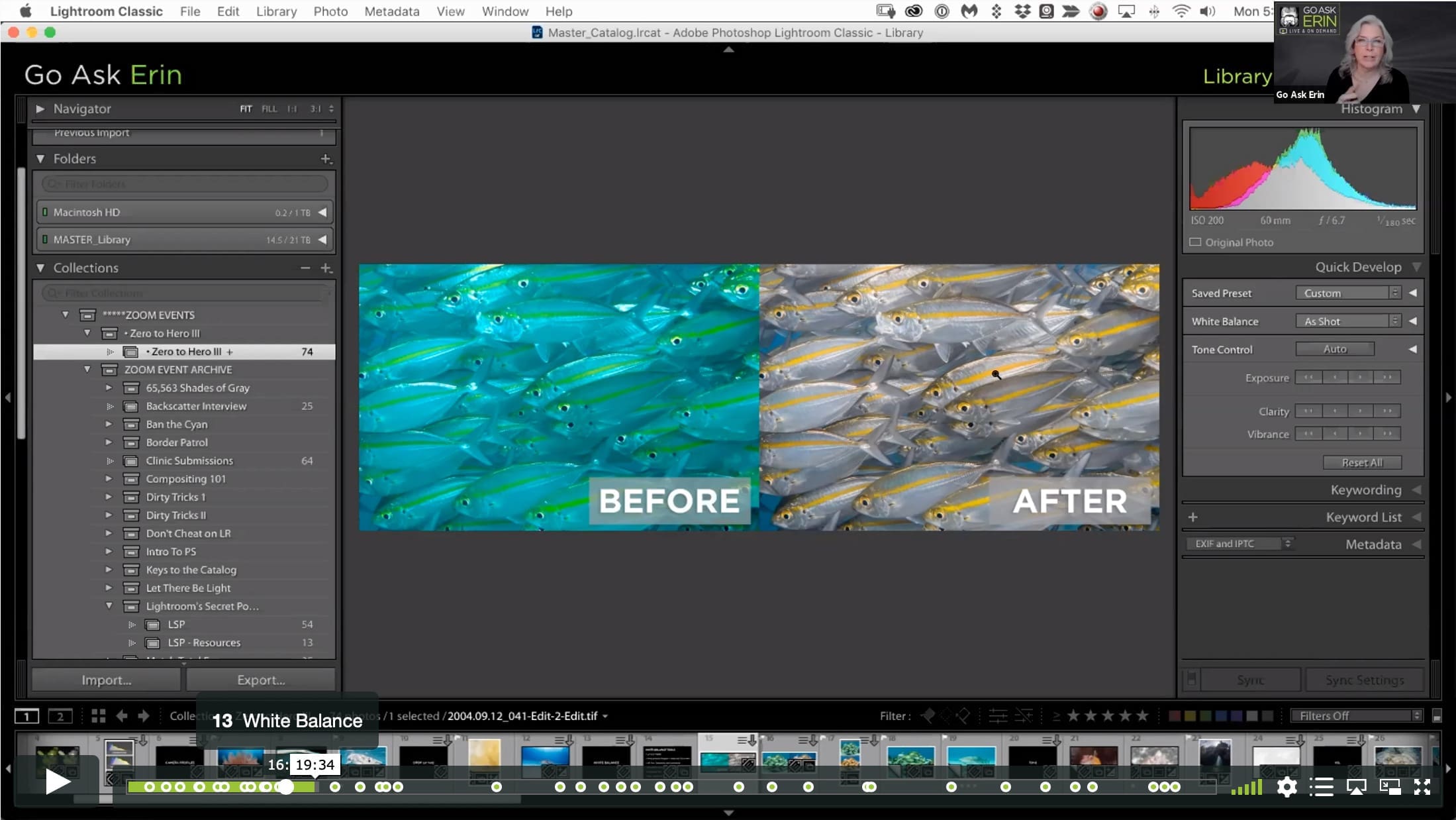 Lightroom Classic Zero to Hero III - Image 2