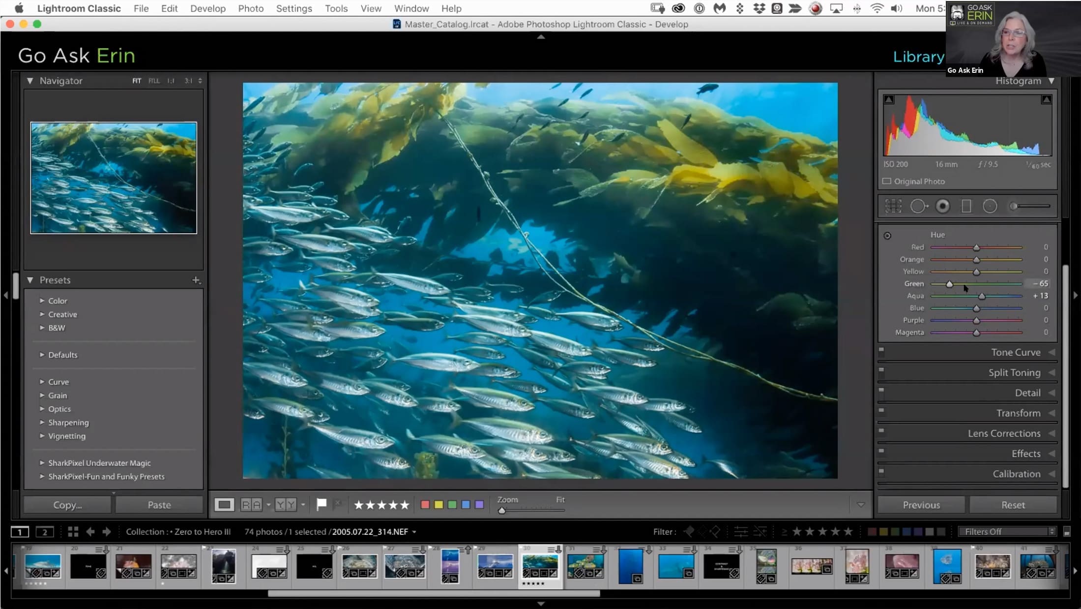 Lightroom Classic Zero to Hero III - Image 5