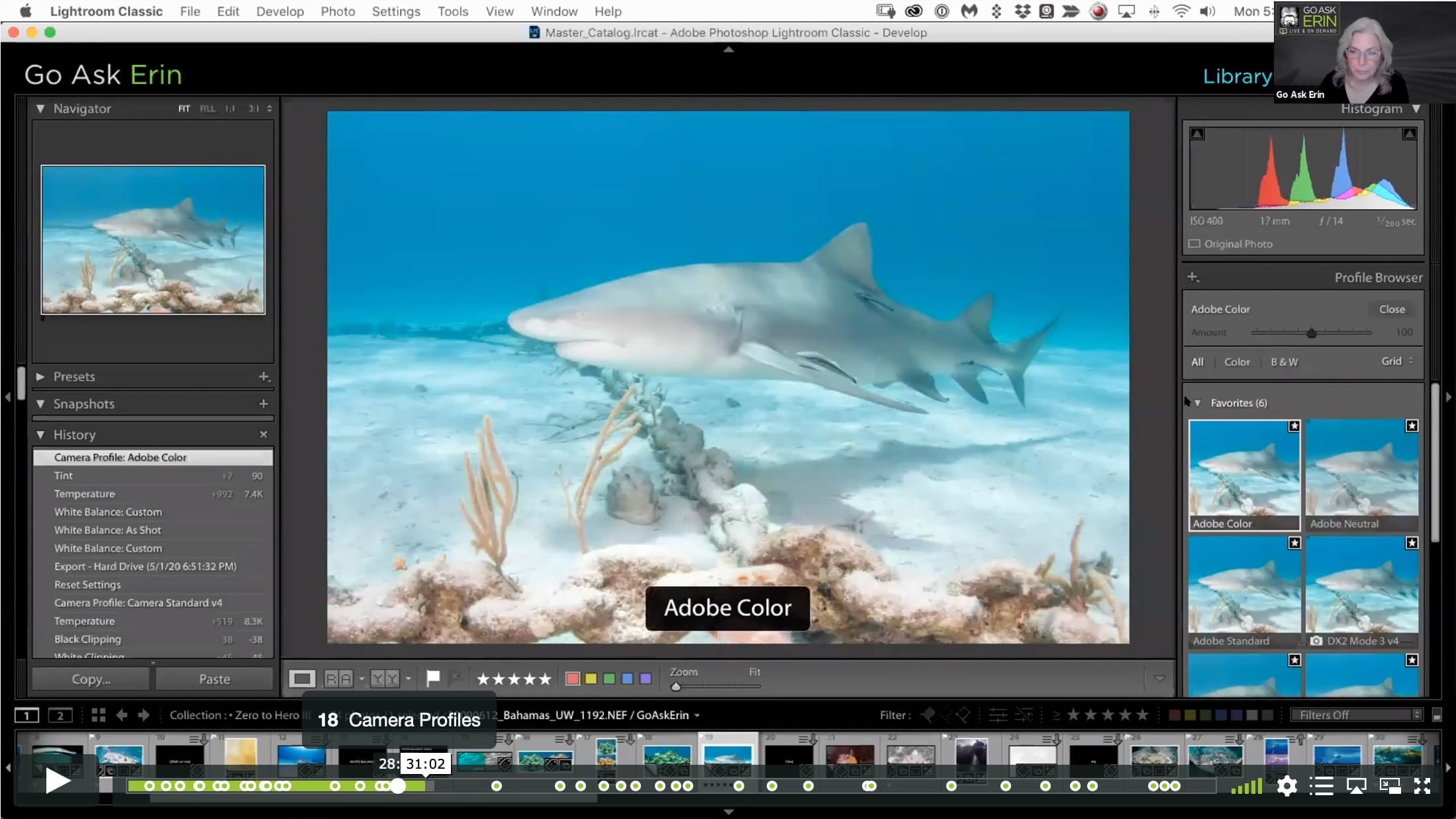 Lightroom Classic Zero to Hero III - Image 3