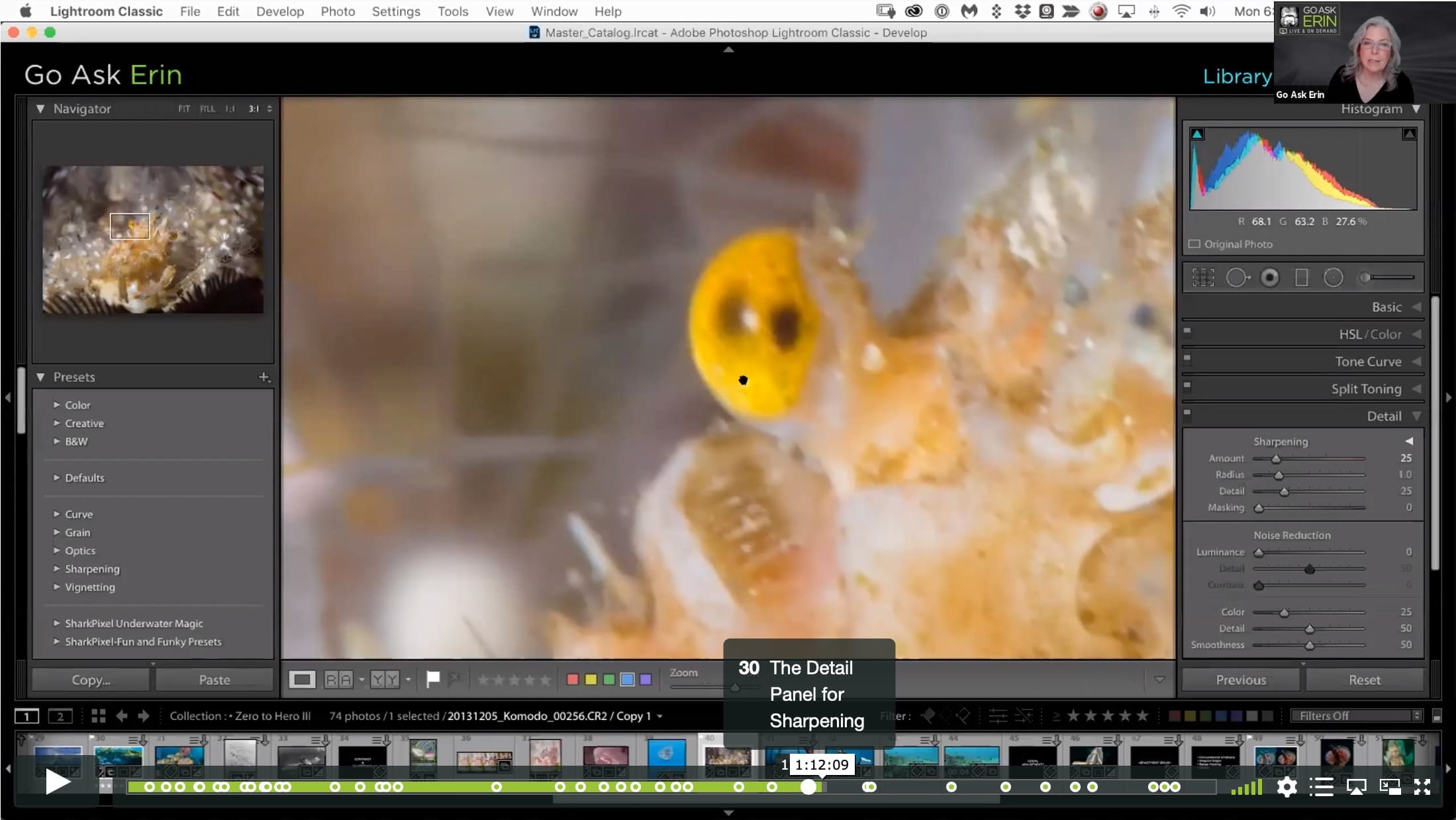 Lightroom Classic Zero to Hero III - Image 6