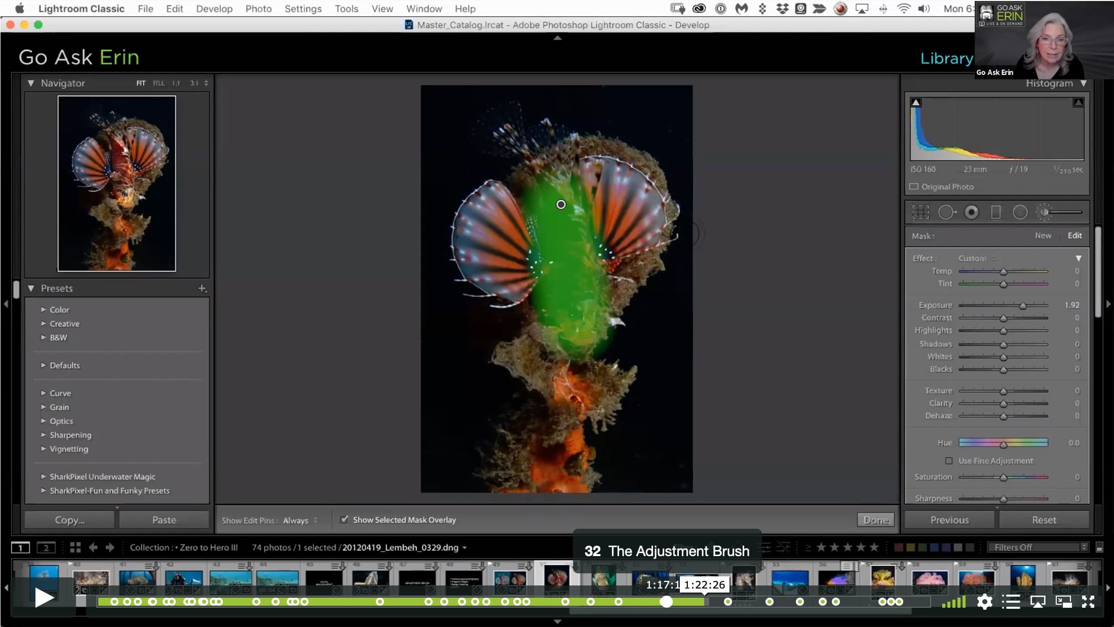 Lightroom Classic Zero to Hero III - Image 4