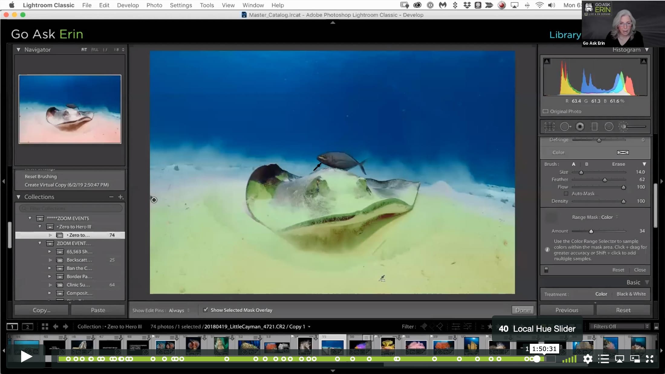 Lightroom Classic Zero to Hero III - Image 9