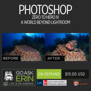 Photoshop Zero to Hero IV - A World Beyond Lightroom