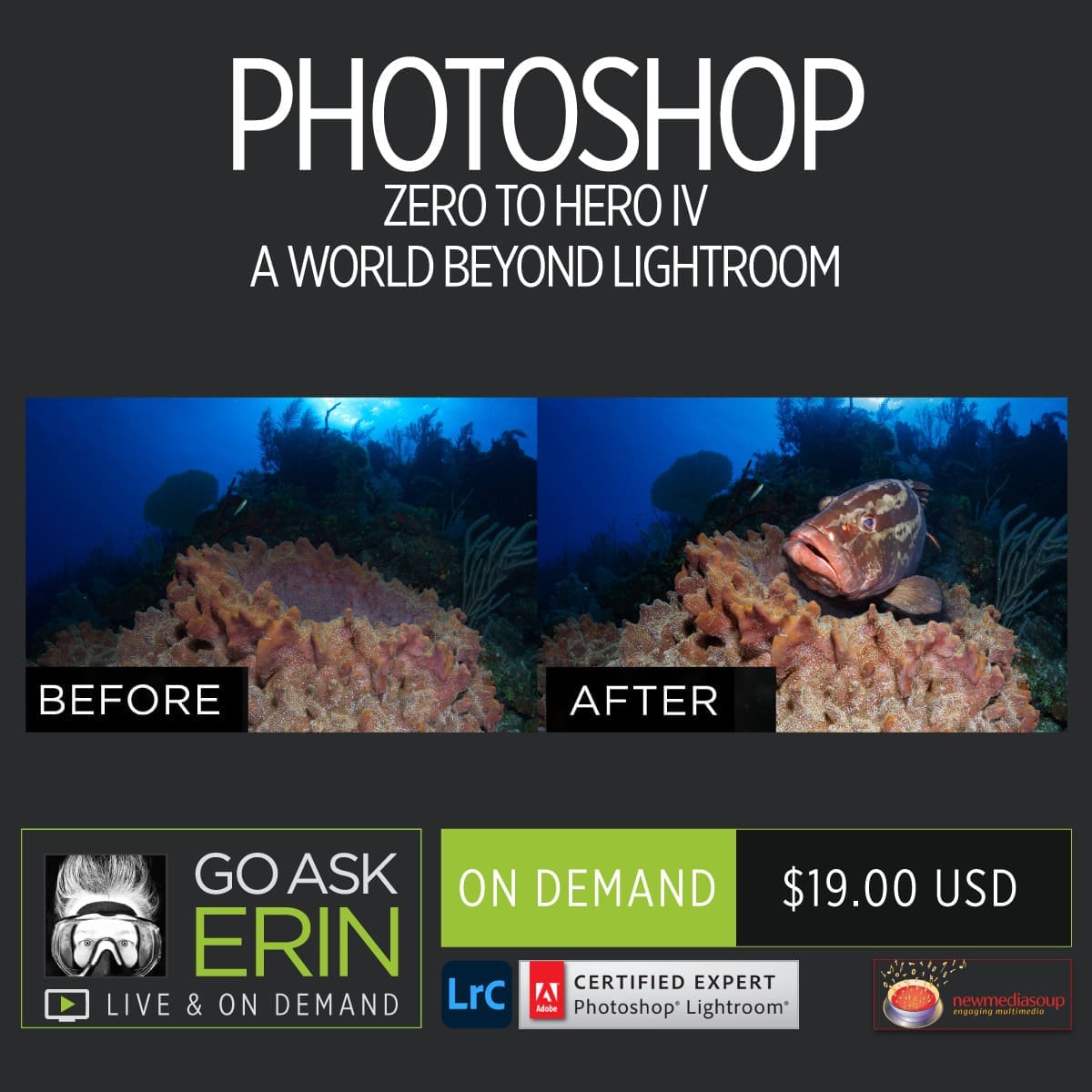 Photoshop Zero to Hero IV - A World Beyond Lightroom