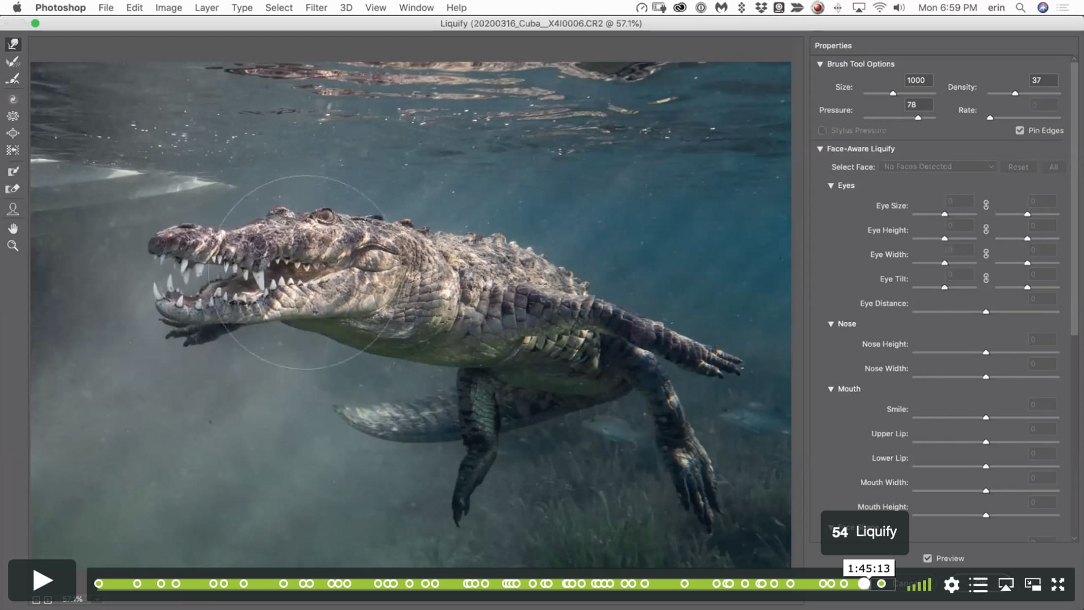 Photoshop Zero to Hero IV - A World Beyond Lightroom - Image 9