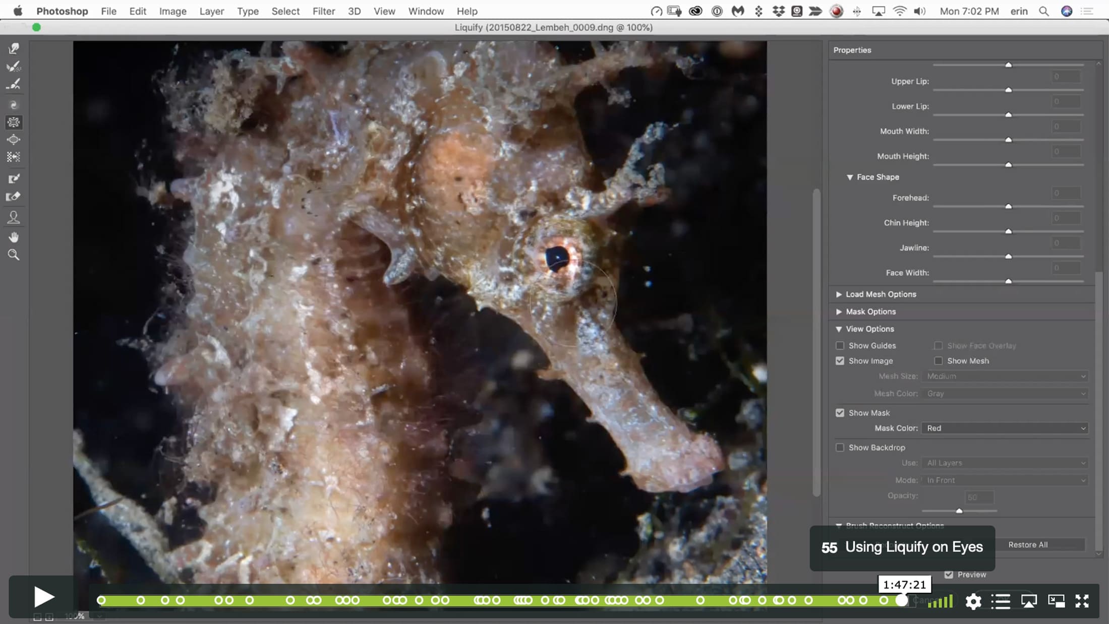 Photoshop Zero to Hero IV - A World Beyond Lightroom - Image 8