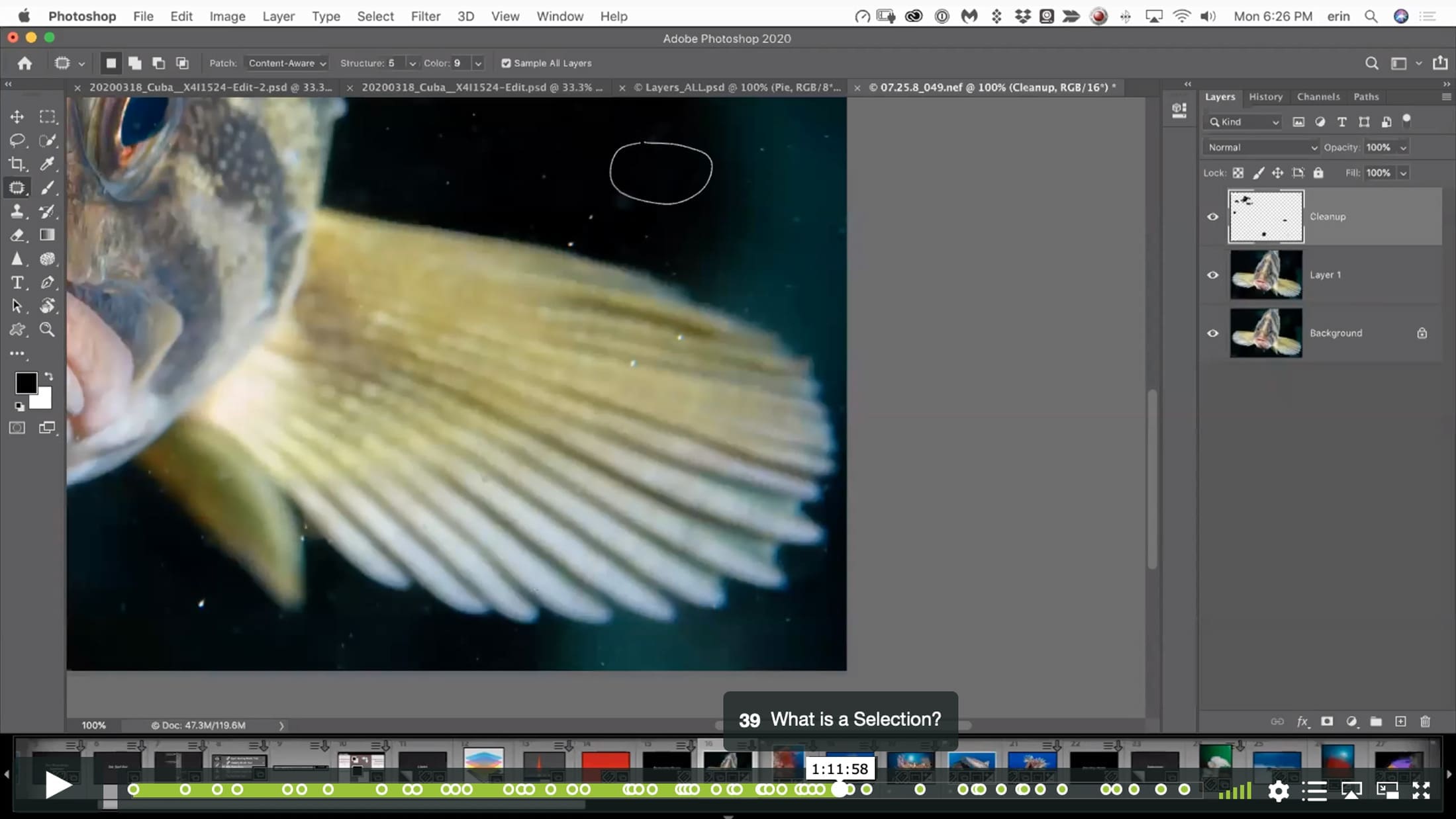 Photoshop Zero to Hero IV - A World Beyond Lightroom - Image 5