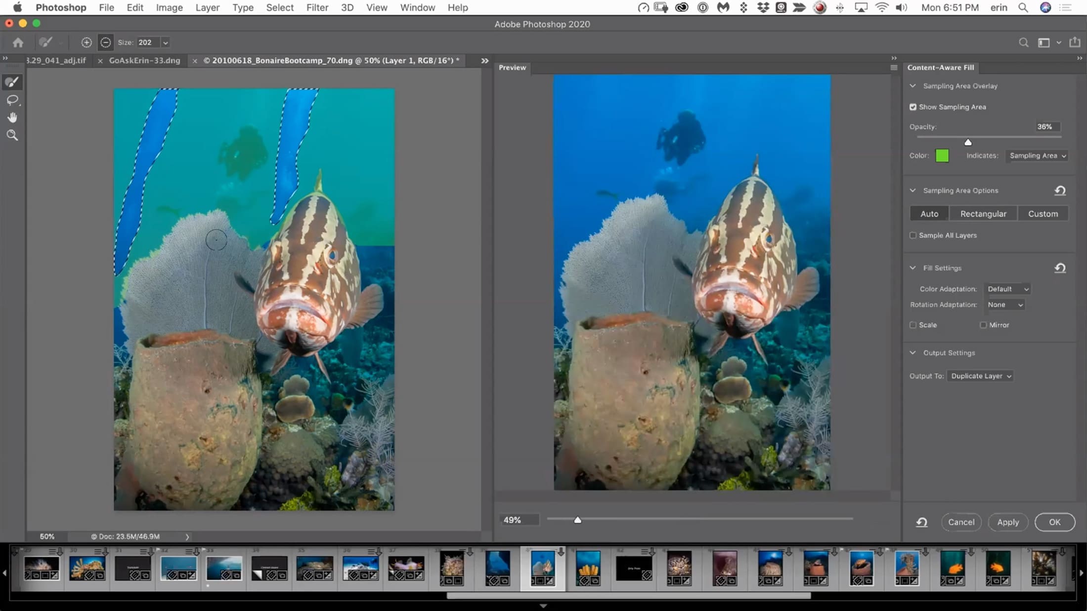Photoshop Zero to Hero IV - A World Beyond Lightroom - Image 7