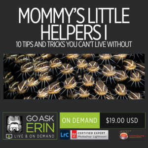 Mommy's Little Helpers I