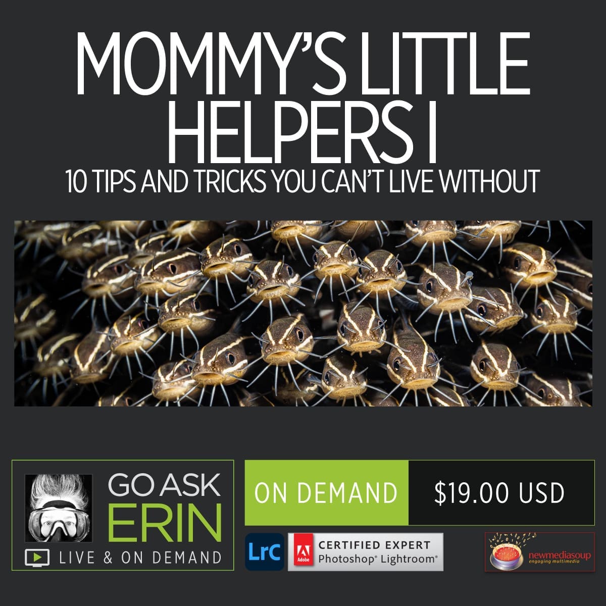 Mommy's Little Helpers I