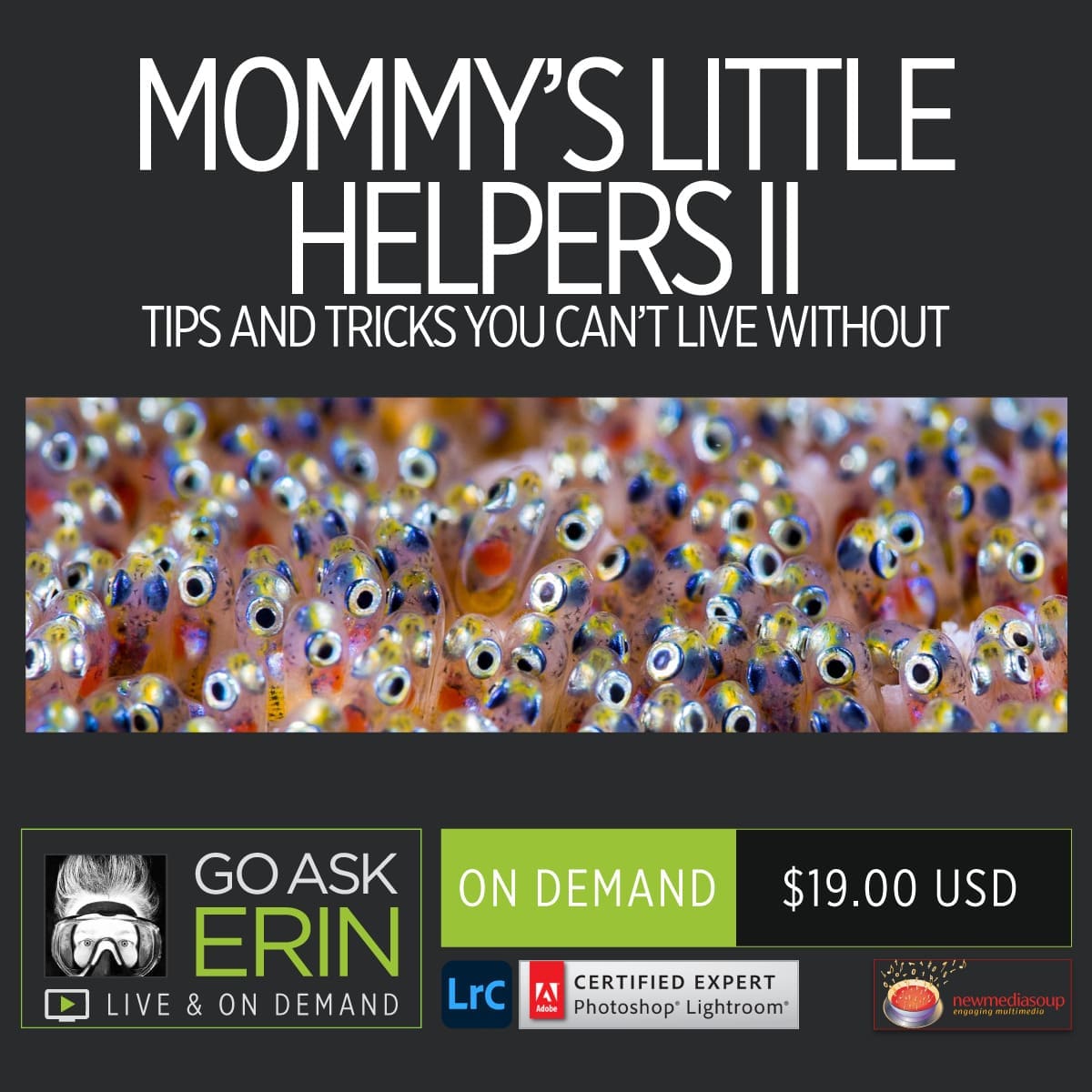 Mommy's Little Helpers II