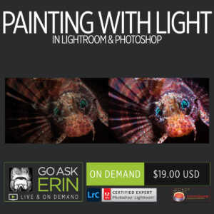 Painting with Light in Lightroom and Photoshop